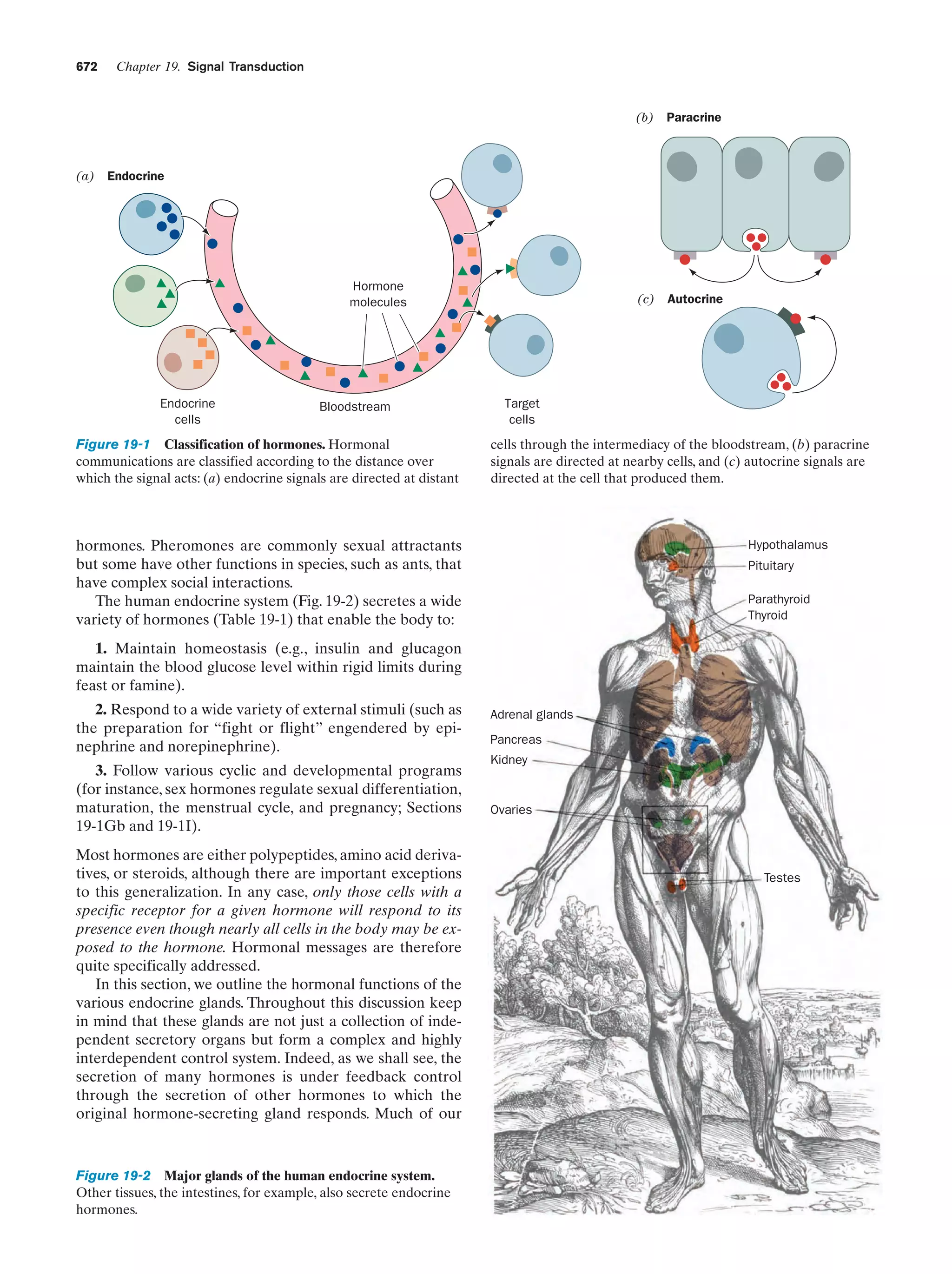 Biochemistry.4th.edition