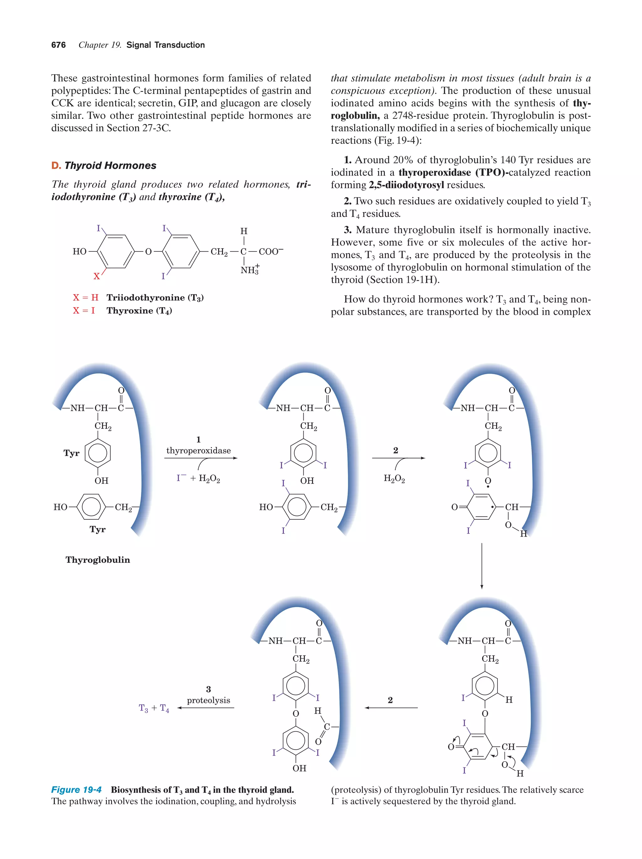Biochemistry.4th.edition