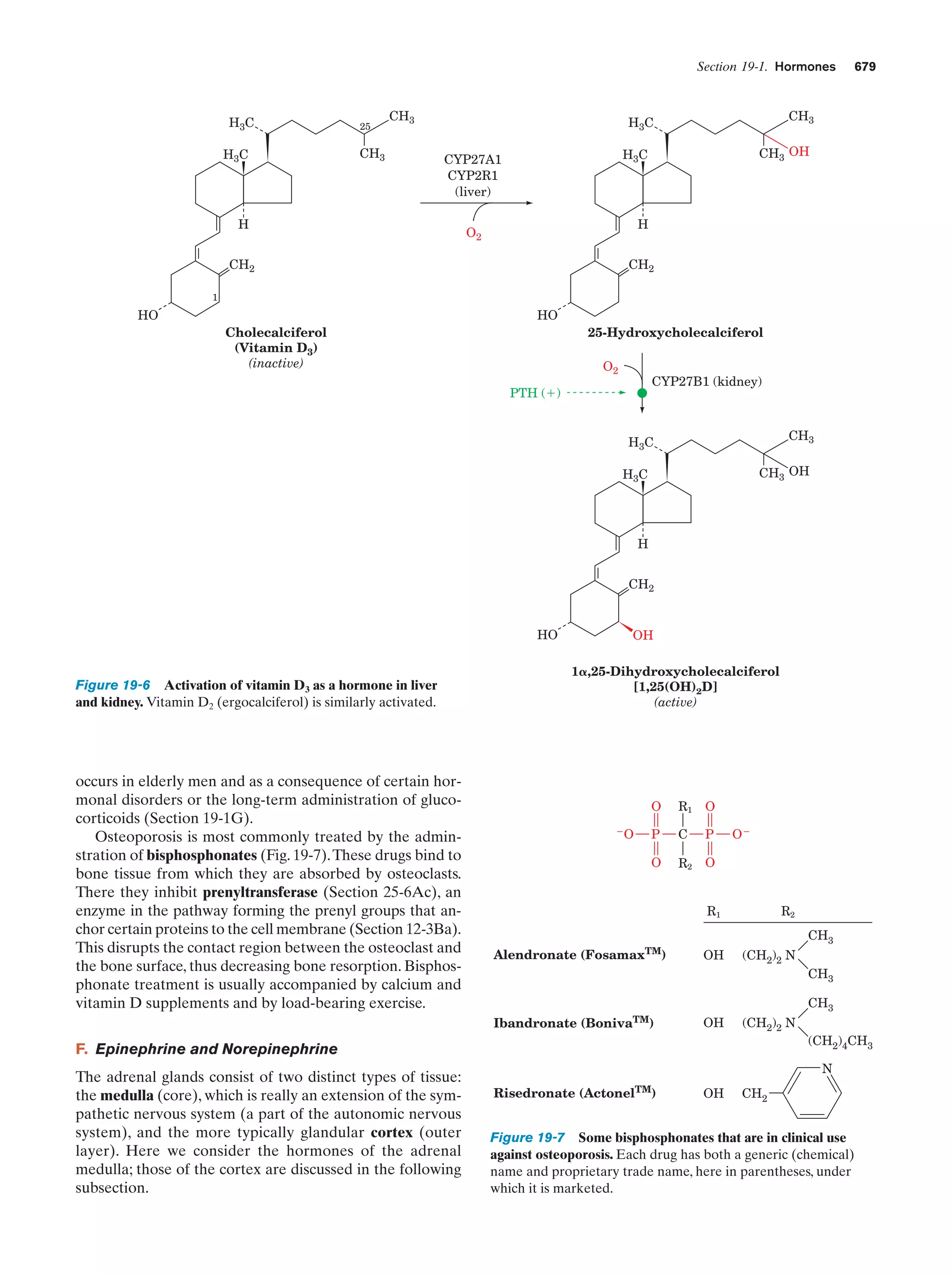 Biochemistry.4th.edition