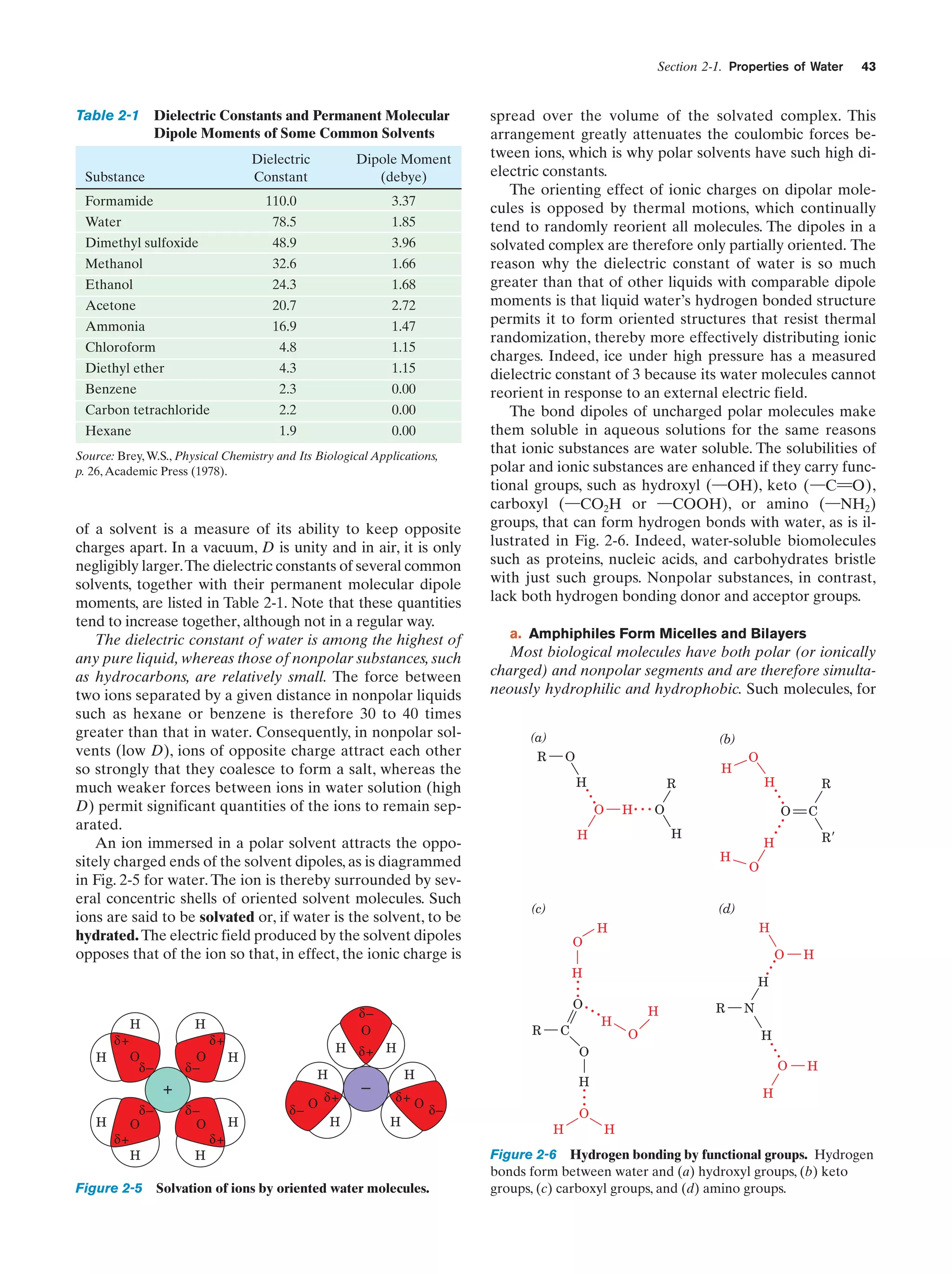 Section 2-1. Properties of Water

Dipole Moment
(debye)

110.0

3.37

Water

78.5

1.85

Dimethyl sulfoxide

48.9

3.96

Methanol

32.6

1.66

Ethanol

24.3

1.68

Formamide

Acetone

20.7

2.72

Ammonia

16.9

1.47

Chloroform

4.8

1.15

Diethyl ether

4.3

1.15

Benzene

2.3

0.00

Carbon tetrachloride

2.2

0.00

Hexane

1.9

0.00

Source: Brey, W.S., Physical Chemistry and Its Biological Applications,
p. 26, Academic Press (1978).

a. Amphiphiles Form Micelles and Bilayers

Most biological molecules have both polar (or ionically
charged) and nonpolar segments and are therefore simultaneously hydrophilic and hydrophobic. Such molecules, for
(a)

(b)

R

O
H
H

O

O
H

R
H... O

O
H

H

(d)
H

O
O

H

...
δ+

H

O
δ–

H δ+ H

H
H

+
δ–
O

H

δ–
O

δ+

H

δ– O

δ+
H

–

H

O

H

O δ–

H

Figure 2-5 Solvation of ions by oriented water molecules.

R

N
H
O

H
δ+

H

H

O

δ+
H

C

...

O
δ–

R

H

...

δ+

O. . .

δ–
O

H

RЈ

O

H

H

H

C

H
H

(c)

R

...

...

of a solvent is a measure of its ability to keep opposite
charges apart. In a vacuum, D is unity and in air, it is only
negligibly larger.The dielectric constants of several common
solvents, together with their permanent molecular dipole
moments, are listed in Table 2-1. Note that these quantities
tend to increase together, although not in a regular way.
The dielectric constant of water is among the highest of
any pure liquid, whereas those of nonpolar substances, such
as hydrocarbons, are relatively small. The force between
two ions separated by a given distance in nonpolar liquids
such as hexane or benzene is therefore 30 to 40 times
greater than that in water. Consequently, in nonpolar solvents (low D), ions of opposite charge attract each other
so strongly that they coalesce to form a salt, whereas the
much weaker forces between ions in water solution (high
D) permit significant quantities of the ions to remain separated.
An ion immersed in a polar solvent attracts the oppositely charged ends of the solvent dipoles, as is diagrammed
in Fig. 2-5 for water. The ion is thereby surrounded by several concentric shells of oriented solvent molecules. Such
ions are said to be solvated or, if water is the solvent, to be
hydrated. The electric field produced by the solvent dipoles
opposes that of the ion so that, in effect, the ionic charge is

...

Dielectric
Constant

Substance

spread over the volume of the solvated complex. This
arrangement greatly attenuates the coulombic forces between ions, which is why polar solvents have such high dielectric constants.
The orienting effect of ionic charges on dipolar molecules is opposed by thermal motions, which continually
tend to randomly reorient all molecules. The dipoles in a
solvated complex are therefore only partially oriented. The
reason why the dielectric constant of water is so much
greater than that of other liquids with comparable dipole
moments is that liquid water’s hydrogen bonded structure
permits it to form oriented structures that resist thermal
randomization, thereby more effectively distributing ionic
charges. Indeed, ice under high pressure has a measured
dielectric constant of 3 because its water molecules cannot
reorient in response to an external electric field.
The bond dipoles of uncharged polar molecules make
them soluble in aqueous solutions for the same reasons
that ionic substances are water soluble. The solubilities of
polar and ionic substances are enhanced if they carry functional groups, such as hydroxyl (¬OH), keto (¬C“O) ,
carboxyl (¬CO2H or ¬COOH), or amino (¬NH2)
groups, that can form hydrogen bonds with water, as is illustrated in Fig. 2-6. Indeed, water-soluble biomolecules
such as proteins, nucleic acids, and carbohydrates bristle
with just such groups. Nonpolar substances, in contrast,
lack both hydrogen bonding donor and acceptor groups.

...

Table 2-1 Dielectric Constants and Permanent Molecular
Dipole Moments of Some Common Solvents

43

H

H

O
H

H

Figure 2-6 Hydrogen bonding by functional groups. Hydrogen
bonds form between water and (a) hydroxyl groups, (b) keto
groups, (c) carboxyl groups, and (d) amino groups.

 