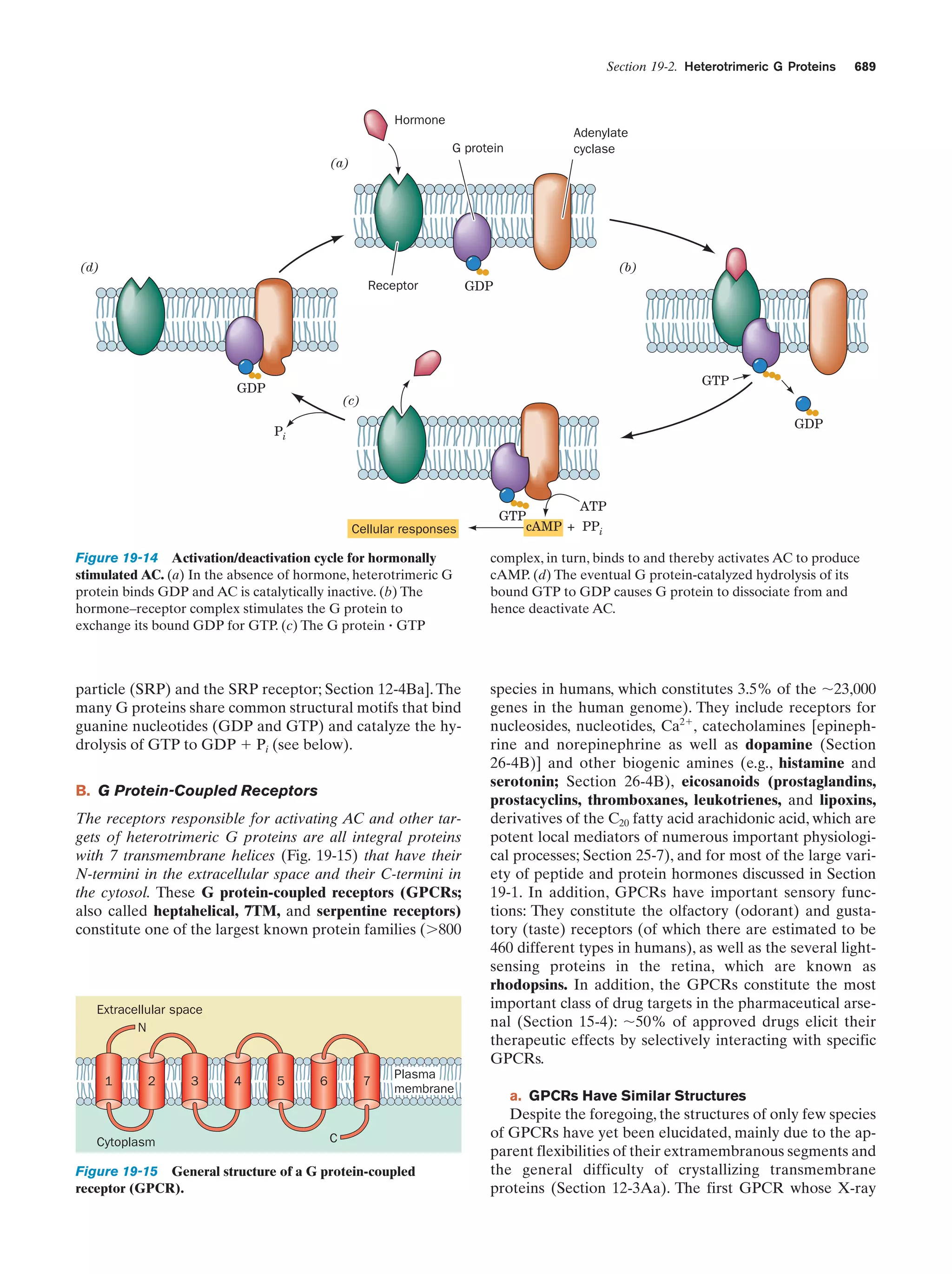 Biochemistry.4th.edition