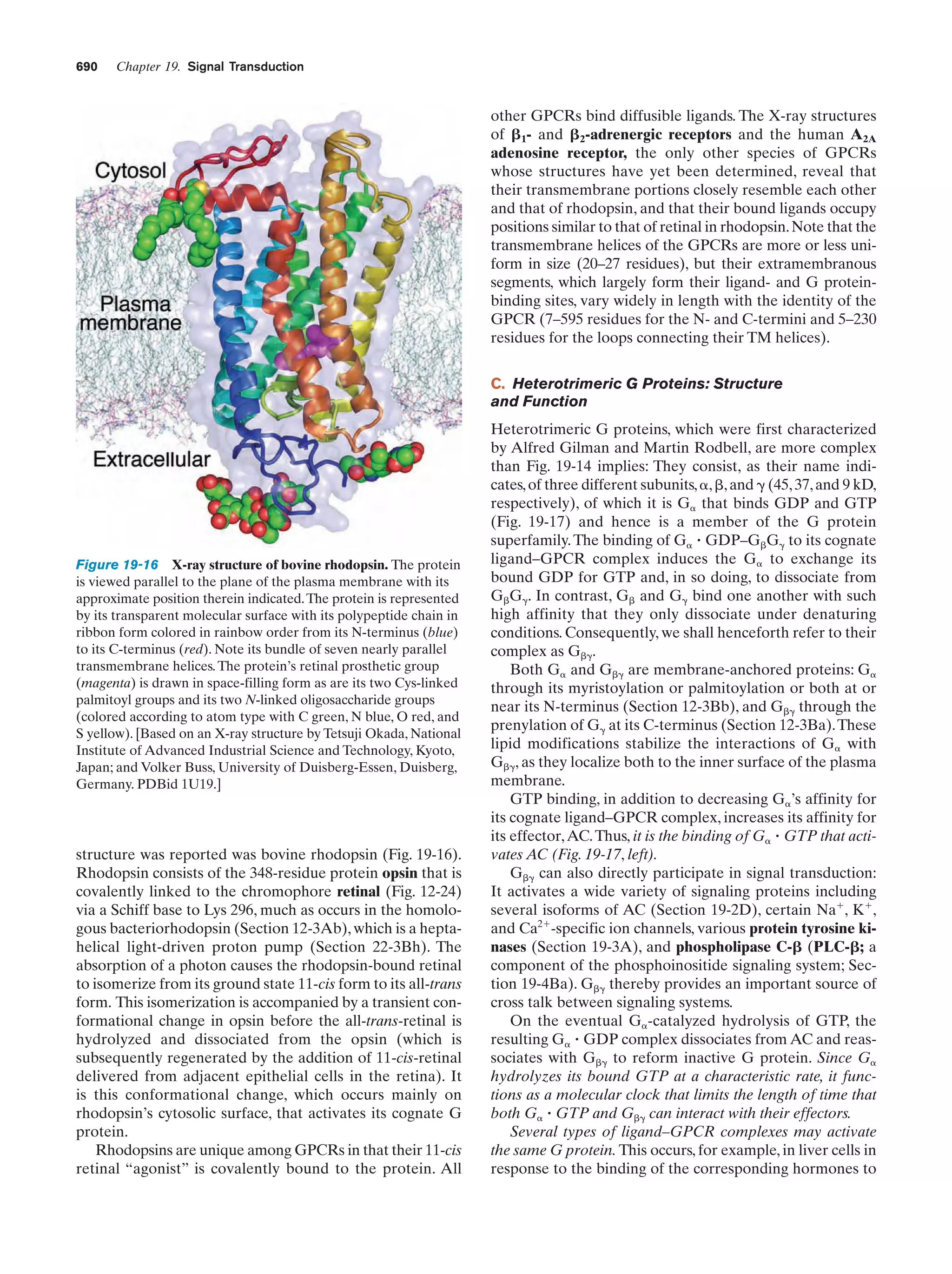 Biochemistry.4th.edition