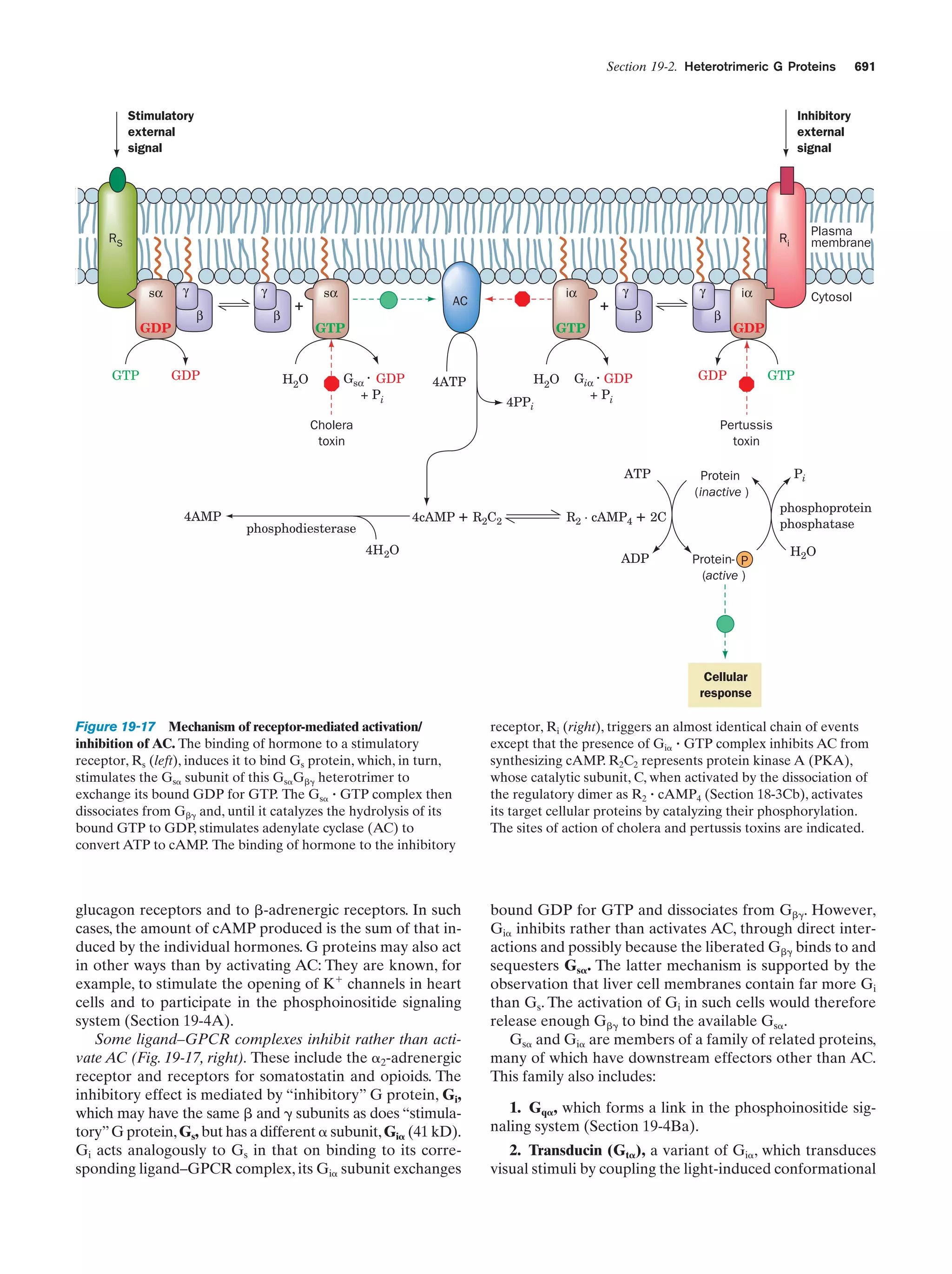 Biochemistry.4th.edition
