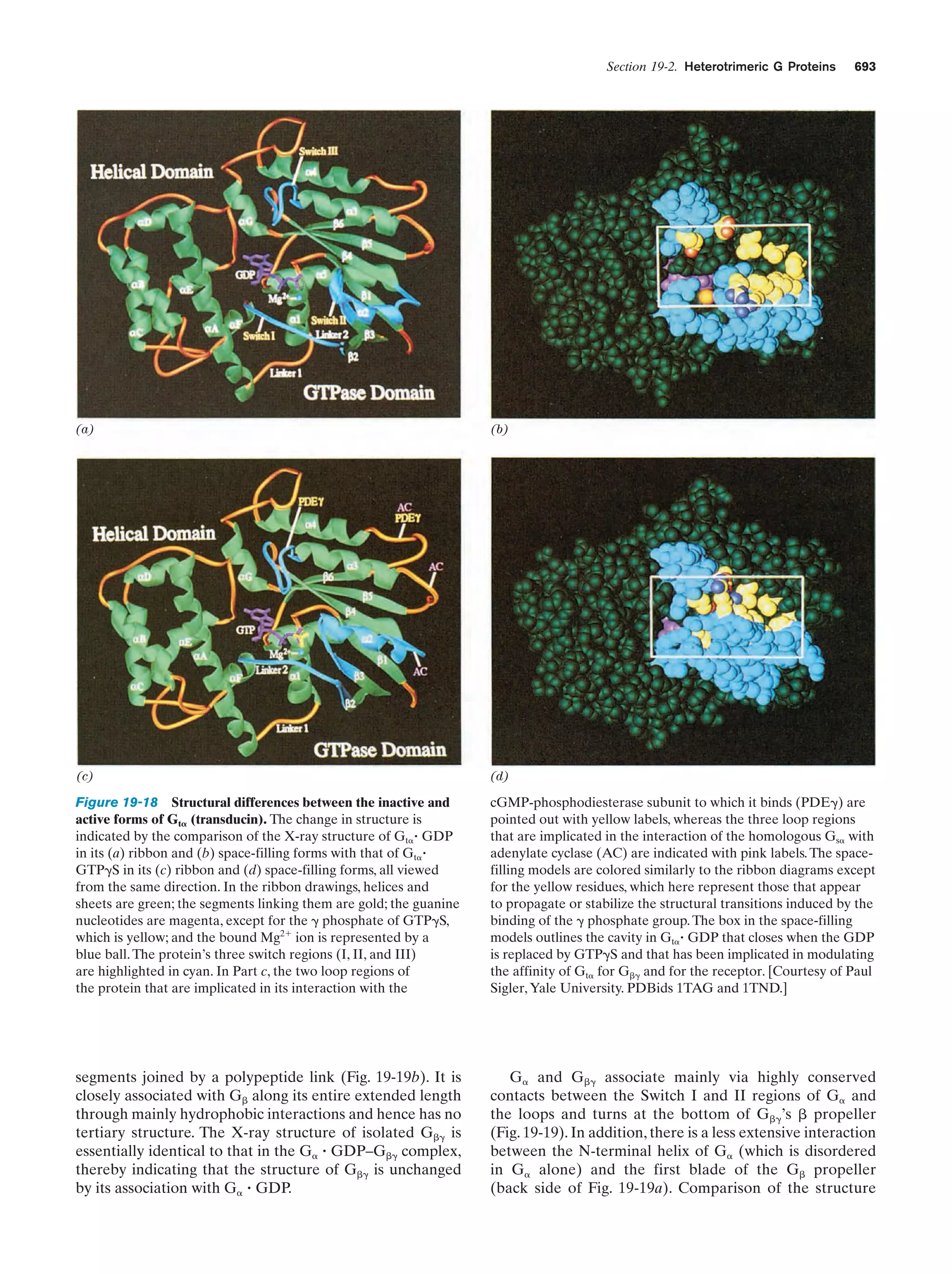 Biochemistry.4th.edition