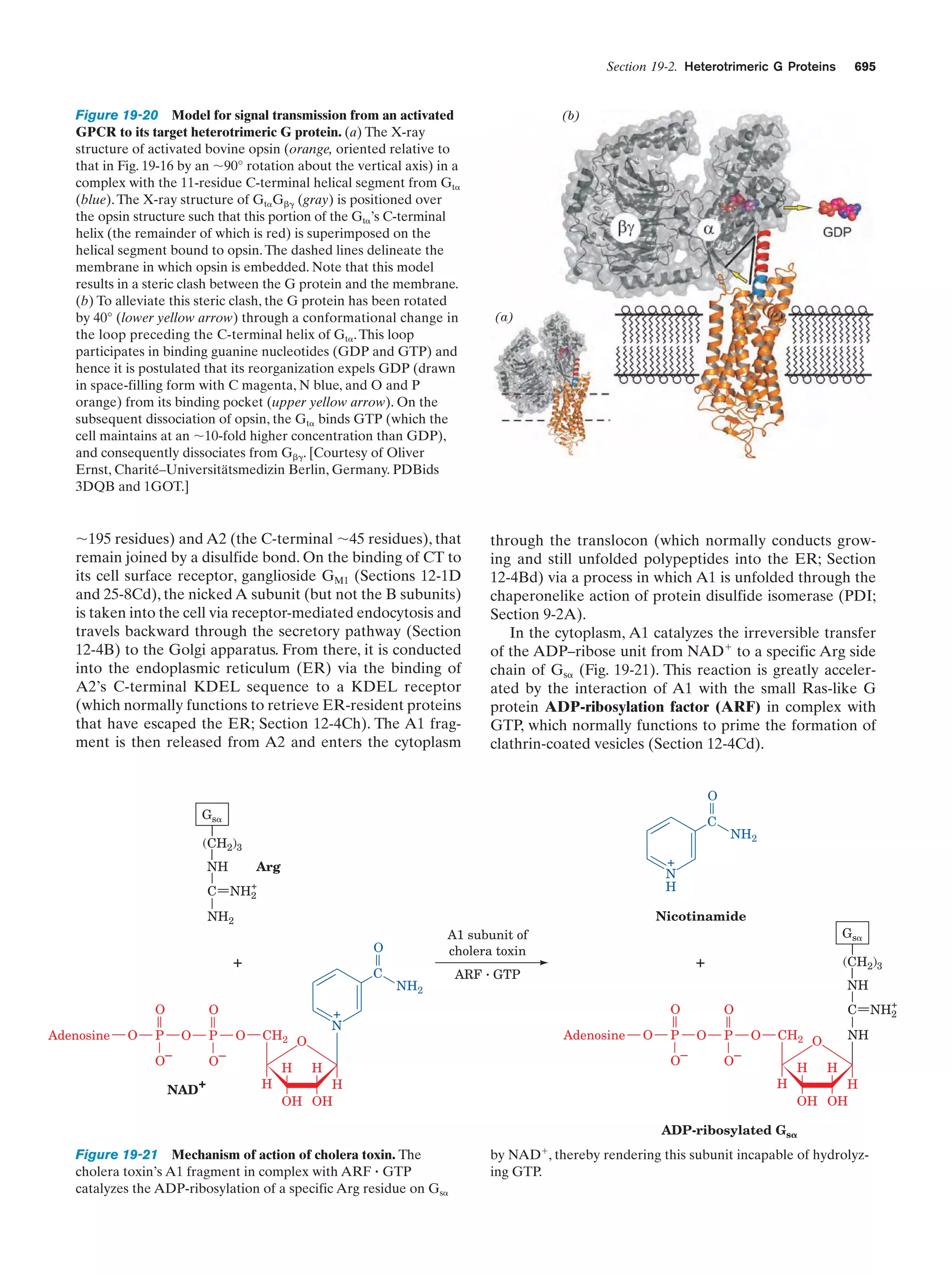 Biochemistry.4th.edition