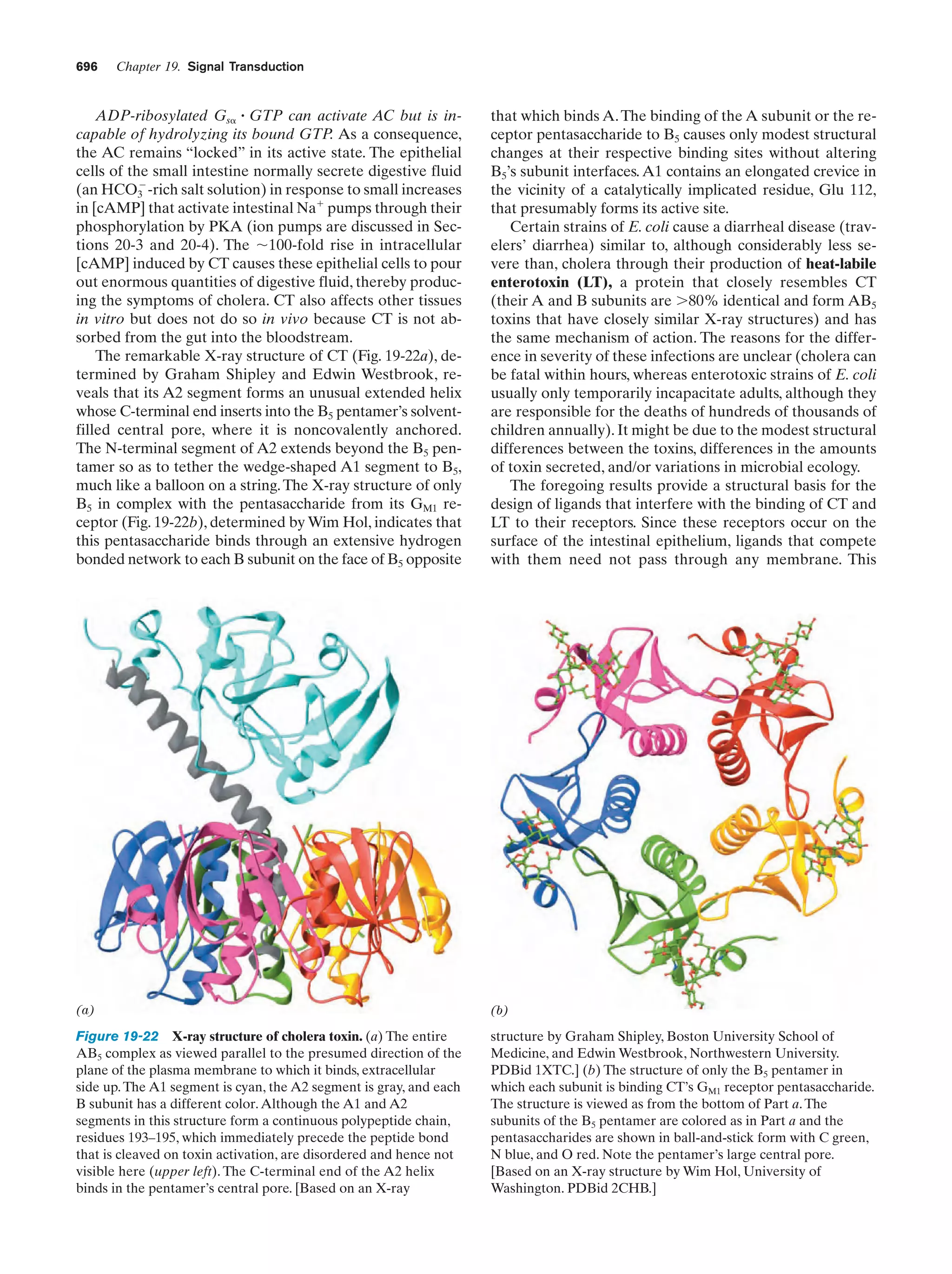 Biochemistry.4th.edition