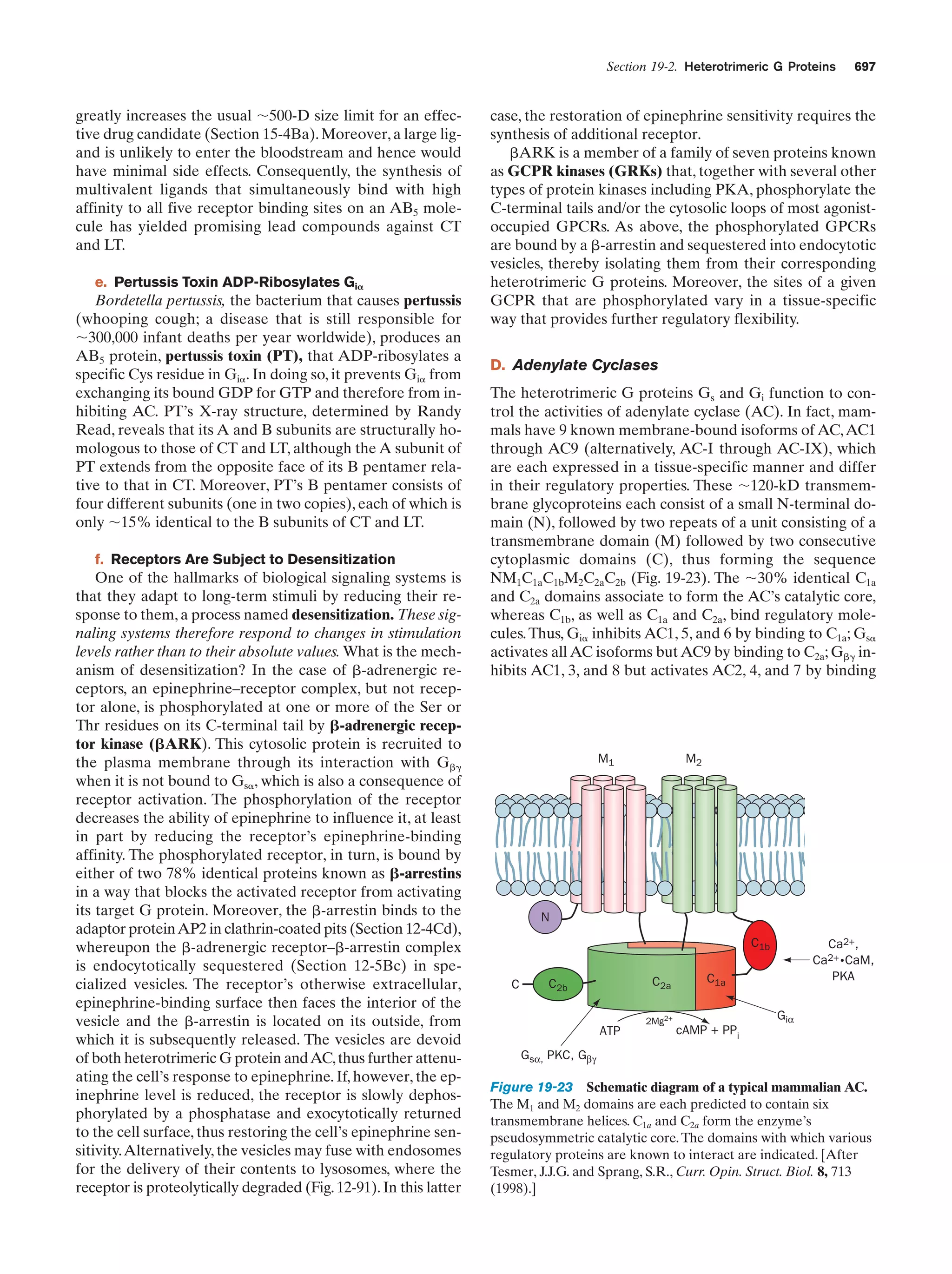 Biochemistry.4th.edition