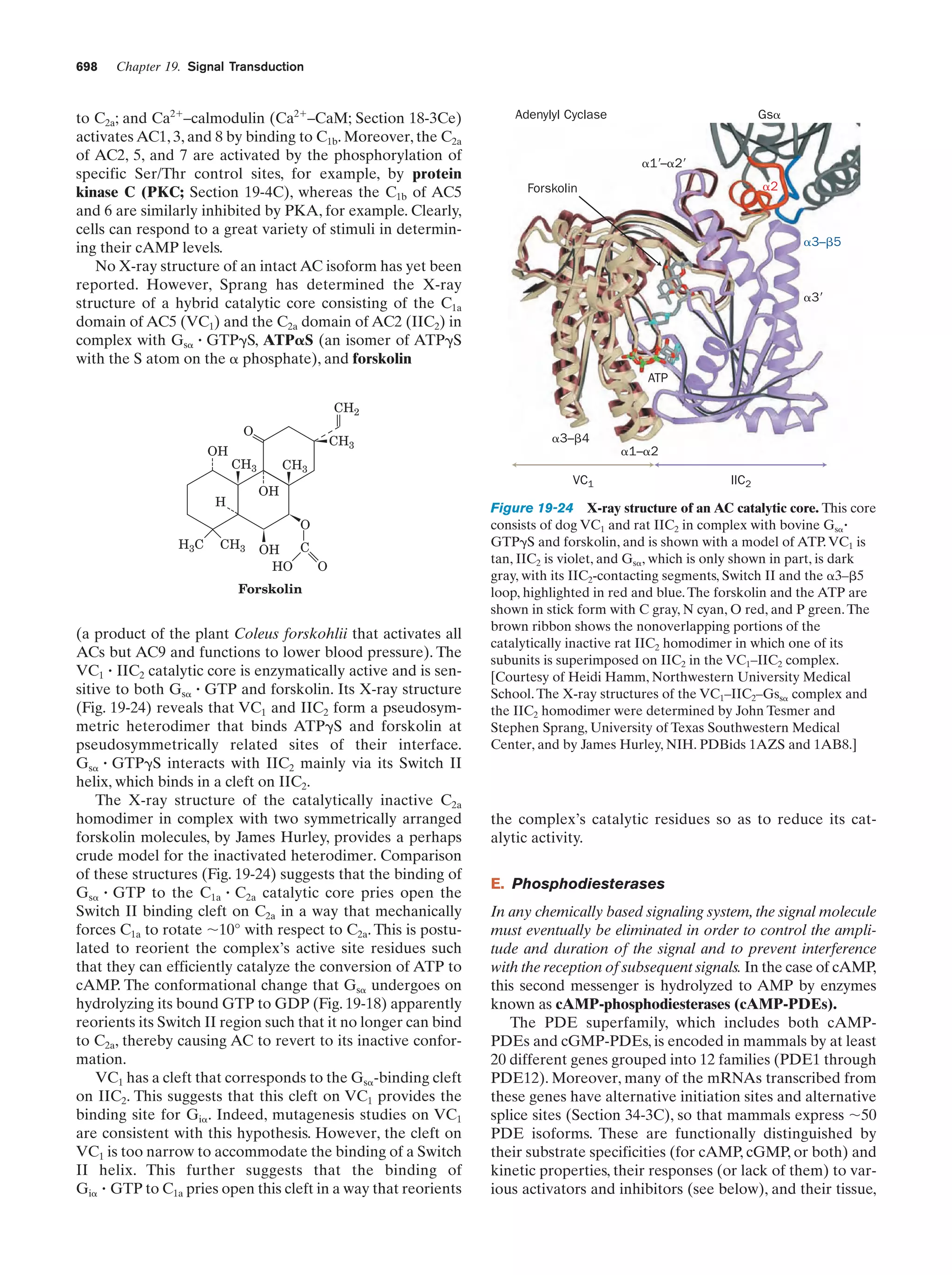 Biochemistry.4th.edition