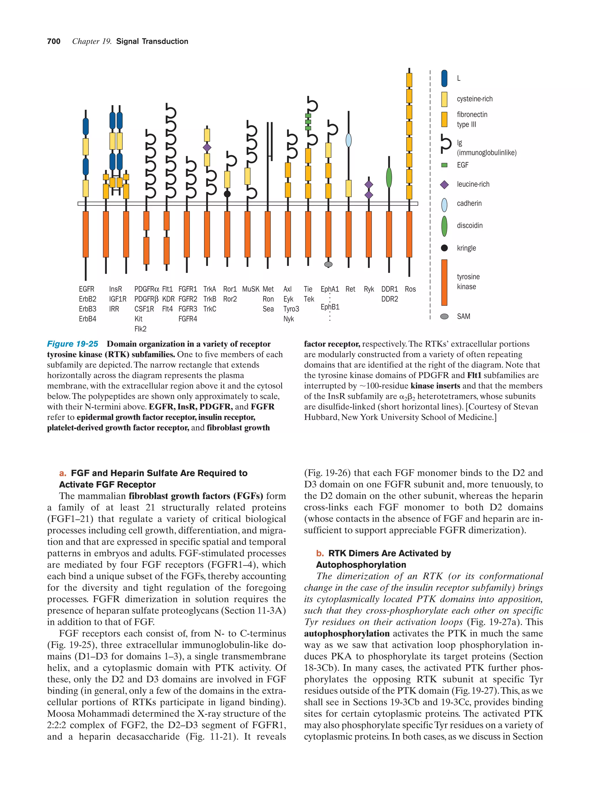 Biochemistry.4th.edition