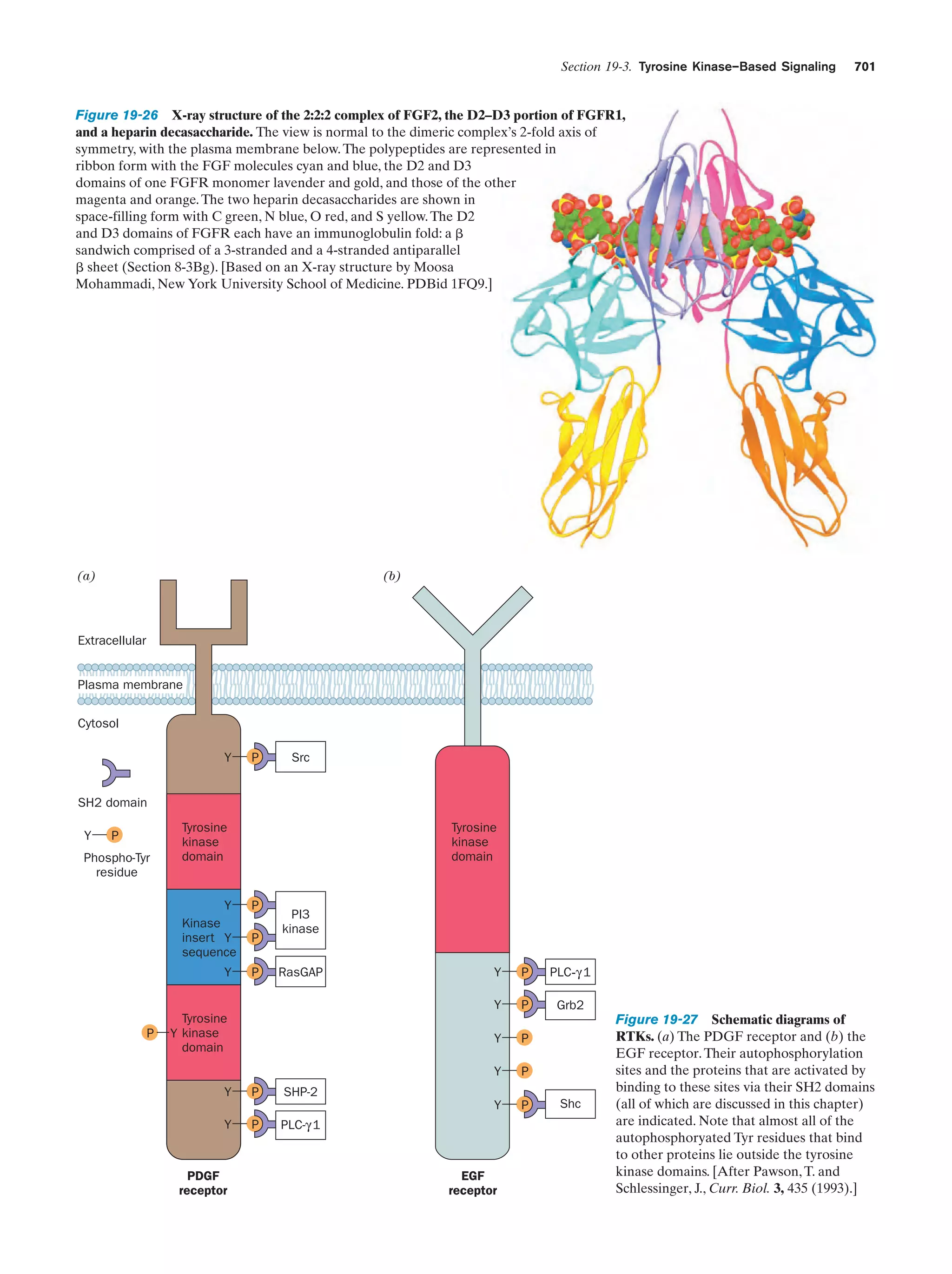 Biochemistry.4th.edition