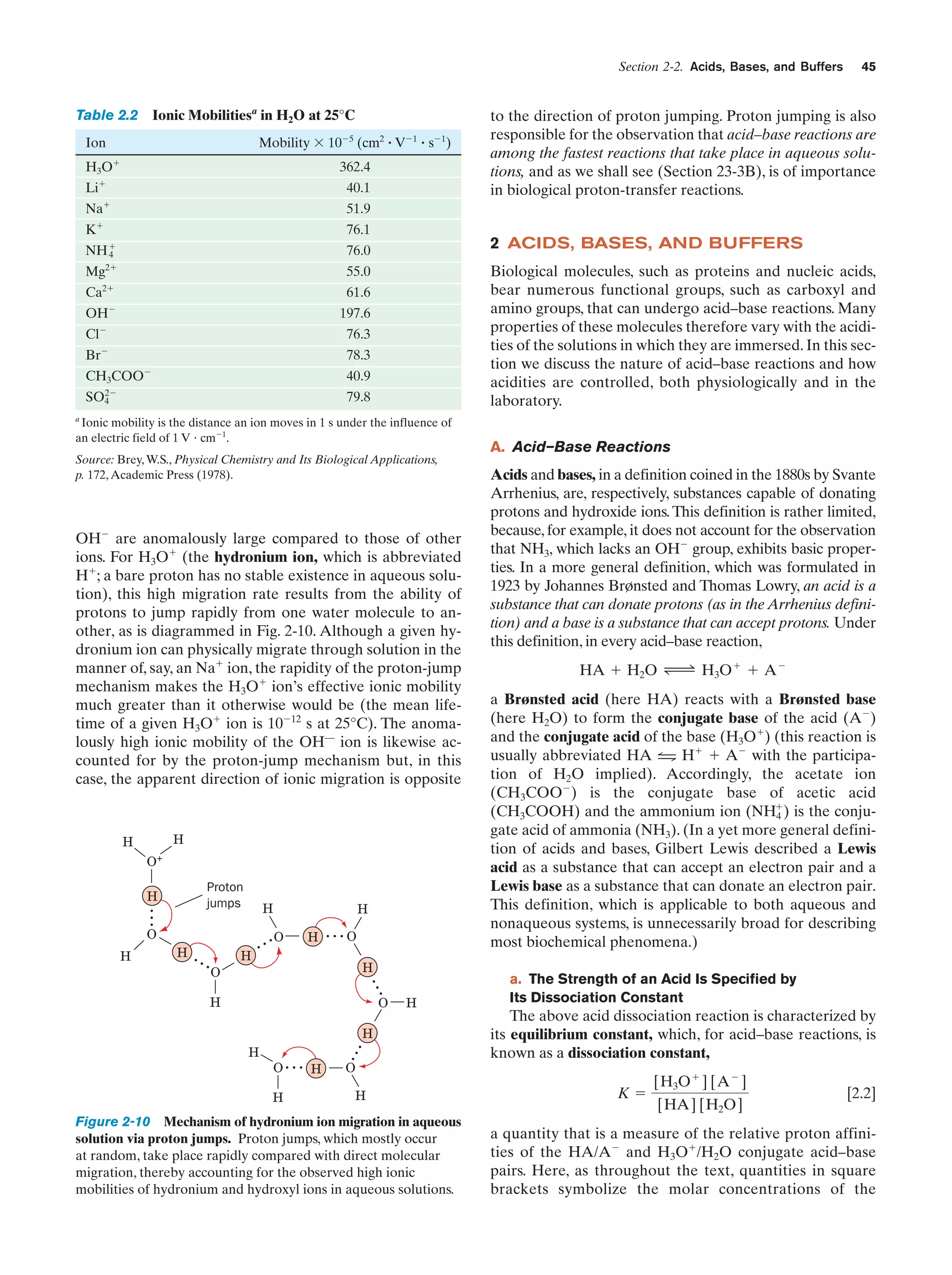 Section 2-2. Acids, Bases, and Buffers

Table 2.2 Ionic Mobilitiesa in H2O at 25°C
Mobility ϫ 10Ϫ5 (cm2 ؒ VϪ1 ؒ sϪ1)

Ion
ϩ

H 3O

362.4

Liϩ

40.1

ϩ

Na

76.1

to the direction of proton jumping. Proton jumping is also
responsible for the observation that acid–base reactions are
among the fastest reactions that take place in aqueous solutions, and as we shall see (Section 23-3B), is of importance
in biological proton-transfer reactions.

51.9

Kϩ

45

NH ϩ
4

2 ACIDS, BASES, AND BUFFERS

76.0

2ϩ

55.0

Mg

2ϩ

61.6

OHϪ

Biological molecules, such as proteins and nucleic acids,
bear numerous functional groups, such as carboxyl and
amino groups, that can undergo acid–base reactions. Many
properties of these molecules therefore vary with the acidities of the solutions in which they are immersed. In this section we discuss the nature of acid–base reactions and how
acidities are controlled, both physiologically and in the
laboratory.

197.6

Ca

ClϪ

76.3

BrϪ

78.3

CH3COO

Ϫ

40.9

2Ϫ
SO4

79.8

a

Ionic mobility is the distance an ion moves in 1 s under the influence of
an electric field of 1 V и cmϪ1.

Source: Brey, W.S., Physical Chemistry and Its Biological Applications,
p. 172, Academic Press (1978).

OHϪ are anomalously large compared to those of other
ions. For H3Oϩ (the hydronium ion, which is abbreviated
Hϩ; a bare proton has no stable existence in aqueous solution), this high migration rate results from the ability of
protons to jump rapidly from one water molecule to another, as is diagrammed in Fig. 2-10. Although a given hydronium ion can physically migrate through solution in the
manner of, say, an Naϩ ion, the rapidity of the proton-jump
mechanism makes the H3Oϩ ion’s effective ionic mobility
much greater than it otherwise would be (the mean lifetime of a given H3Oϩ ion is 10Ϫ12 s at 25°C). The anomalously high ionic mobility of the OH— ion is likewise accounted for by the proton-jump mechanism but, in this
case, the apparent direction of ionic migration is opposite

H

H
O+

Proton
jumps

...

H

H

O
H

H

...

H

H

. . .O

H

... O
H

O

...

H

O

H

H

O ... H
H

...

H

A. Acid–Base Reactions
Acids and bases, in a definition coined in the 1880s by Svante
Arrhenius, are, respectively, substances capable of donating
protons and hydroxide ions. This definition is rather limited,
because, for example, it does not account for the observation
that NH3, which lacks an OHϪ group, exhibits basic properties. In a more general definition, which was formulated in
1923 by Johannes Brønsted and Thomas Lowry, an acid is a
substance that can donate protons (as in the Arrhenius definition) and a base is a substance that can accept protons. Under
this definition, in every acid–base reaction,
HA ϩ H2O Δ H3O ϩ ϩ A Ϫ
a Brønsted acid (here HA) reacts with a Brønsted base
(here H2O) to form the conjugate base of the acid (AϪ)
and the conjugate acid of the base (H3Oϩ) (this reaction is
usually abbreviated HA 1 Hϩ ϩ AϪ with the participa2
tion of H2O implied). Accordingly, the acetate ion
(CH3COOϪ) is the conjugate base of acetic acid
(CH3COOH) and the ammonium ion (NHϩ) is the conju4
gate acid of ammonia (NH3). (In a yet more general definition of acids and bases, Gilbert Lewis described a Lewis
acid as a substance that can accept an electron pair and a
Lewis base as a substance that can donate an electron pair.
This definition, which is applicable to both aqueous and
nonaqueous systems, is unnecessarily broad for describing
most biochemical phenomena.)
a. The Strength of an Acid Is Specified by
Its Dissociation Constant

The above acid dissociation reaction is characterized by
its equilibrium constant, which, for acid–base reactions, is
known as a dissociation constant,

O
H

Figure 2-10 Mechanism of hydronium ion migration in aqueous
solution via proton jumps. Proton jumps, which mostly occur
at random, take place rapidly compared with direct molecular
migration, thereby accounting for the observed high ionic
mobilities of hydronium and hydroxyl ions in aqueous solutions.

Kϭ

[H3O ϩ ] [A Ϫ ]
[HA] [H2O]

[2.2]

a quantity that is a measure of the relative proton affinities of the HA/AϪ and H3Oϩ/H2O conjugate acid–base
pairs. Here, as throughout the text, quantities in square
brackets symbolize the molar concentrations of the

 