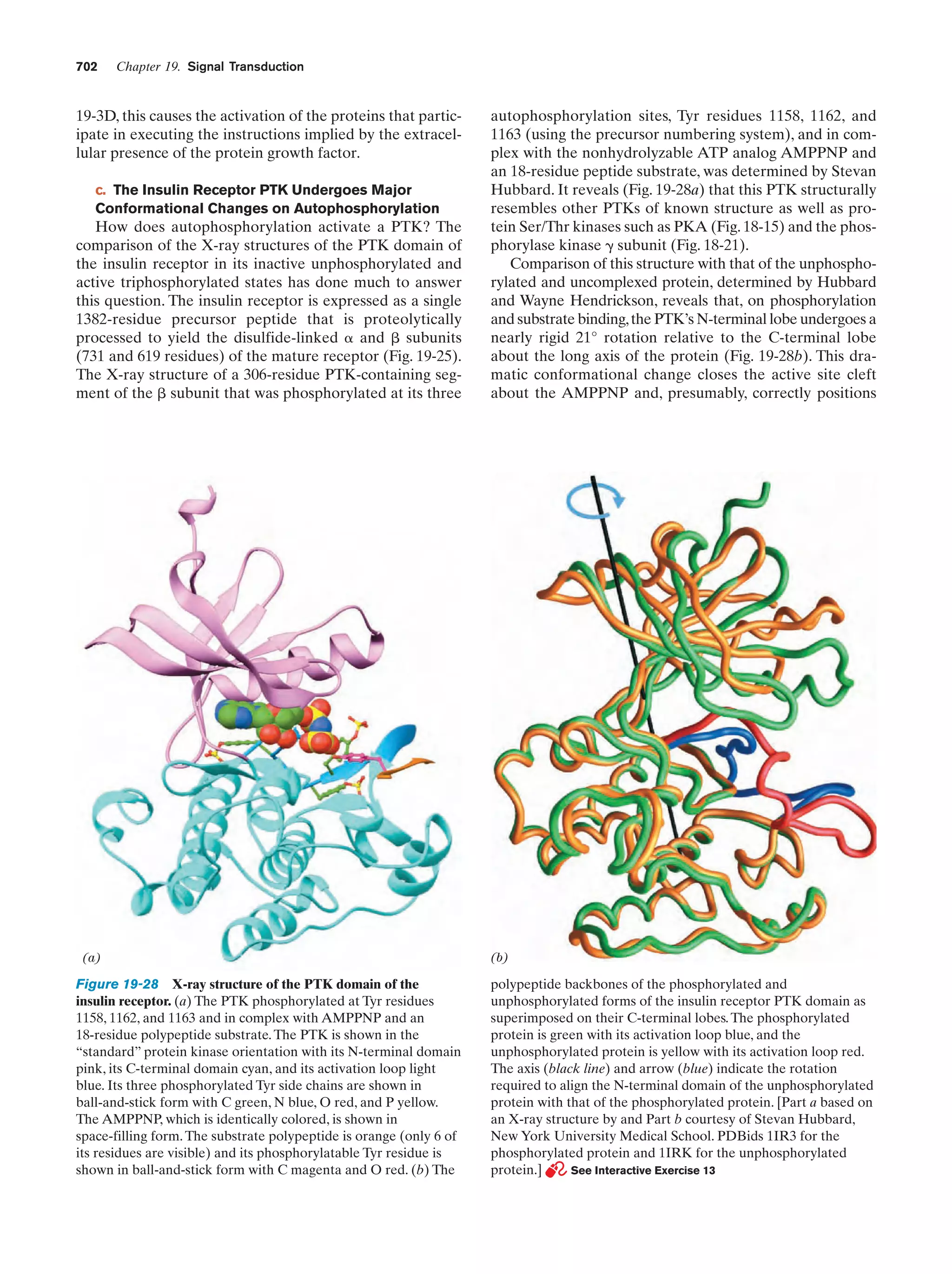 Biochemistry.4th.edition