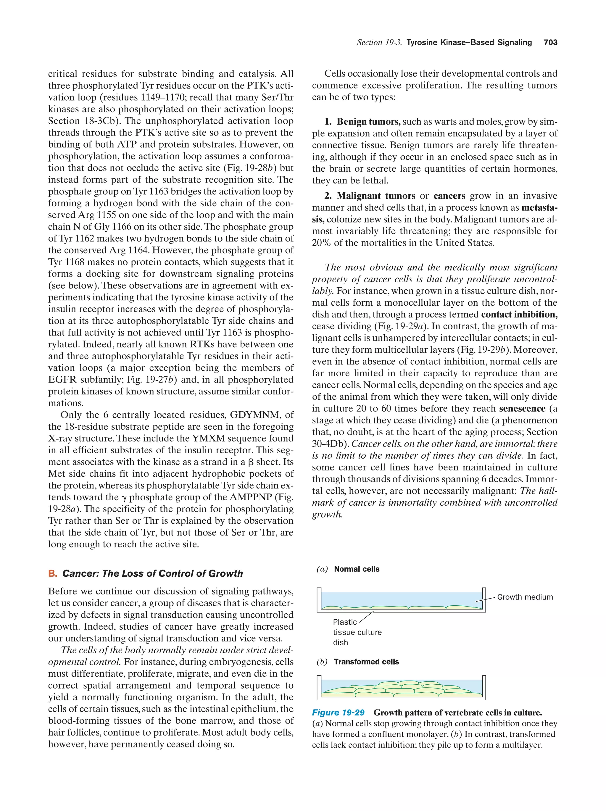 Biochemistry.4th.edition