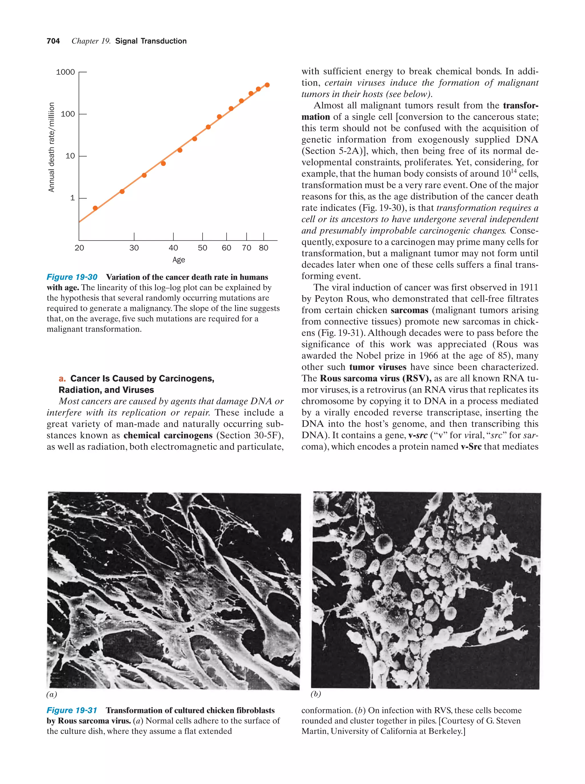 Biochemistry.4th.edition