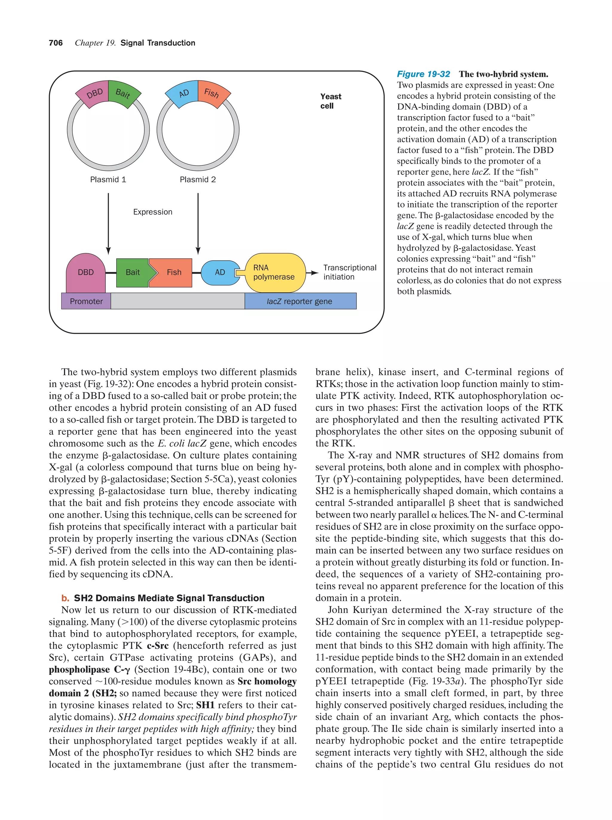 Biochemistry.4th.edition