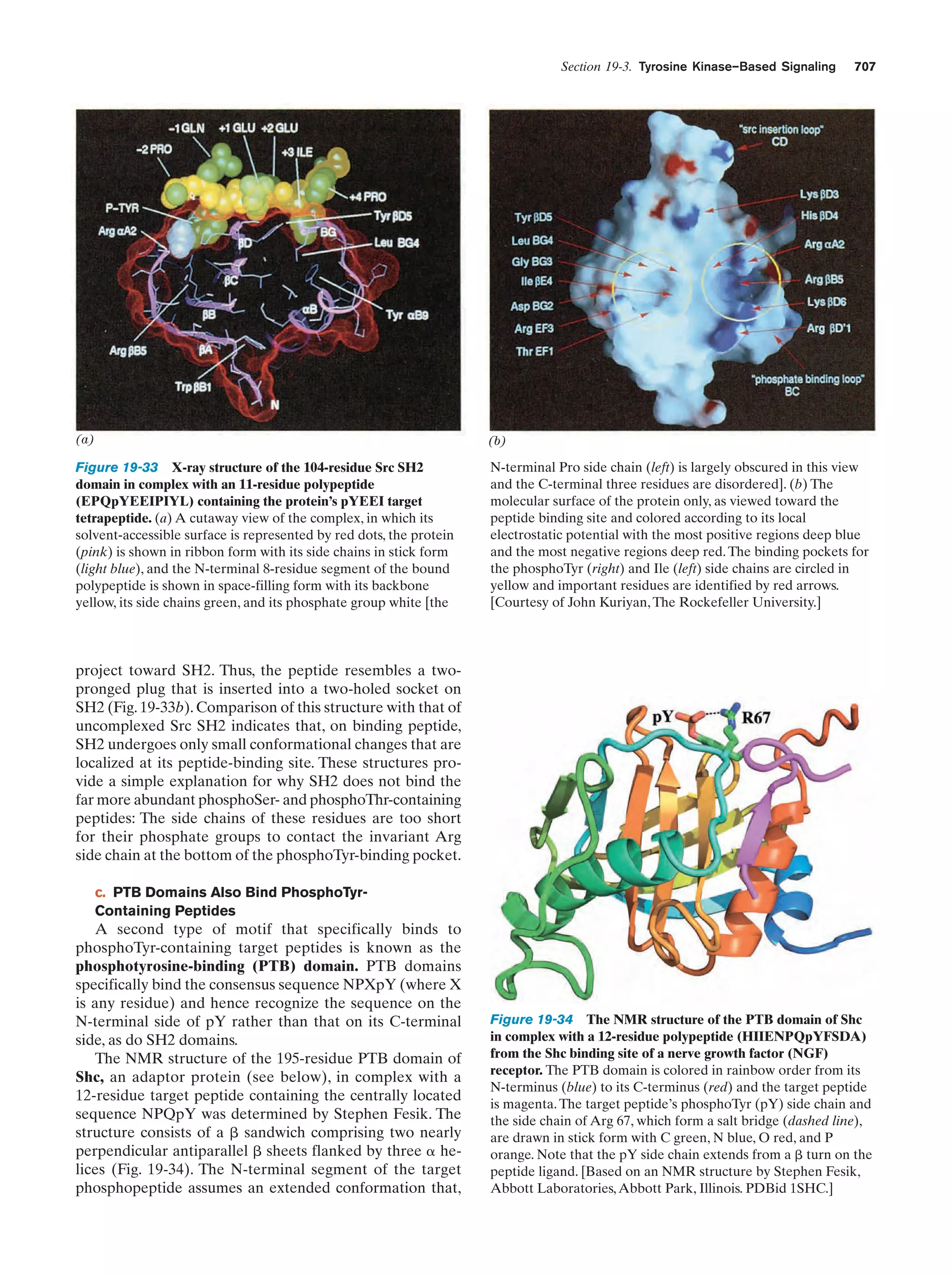 Biochemistry.4th.edition