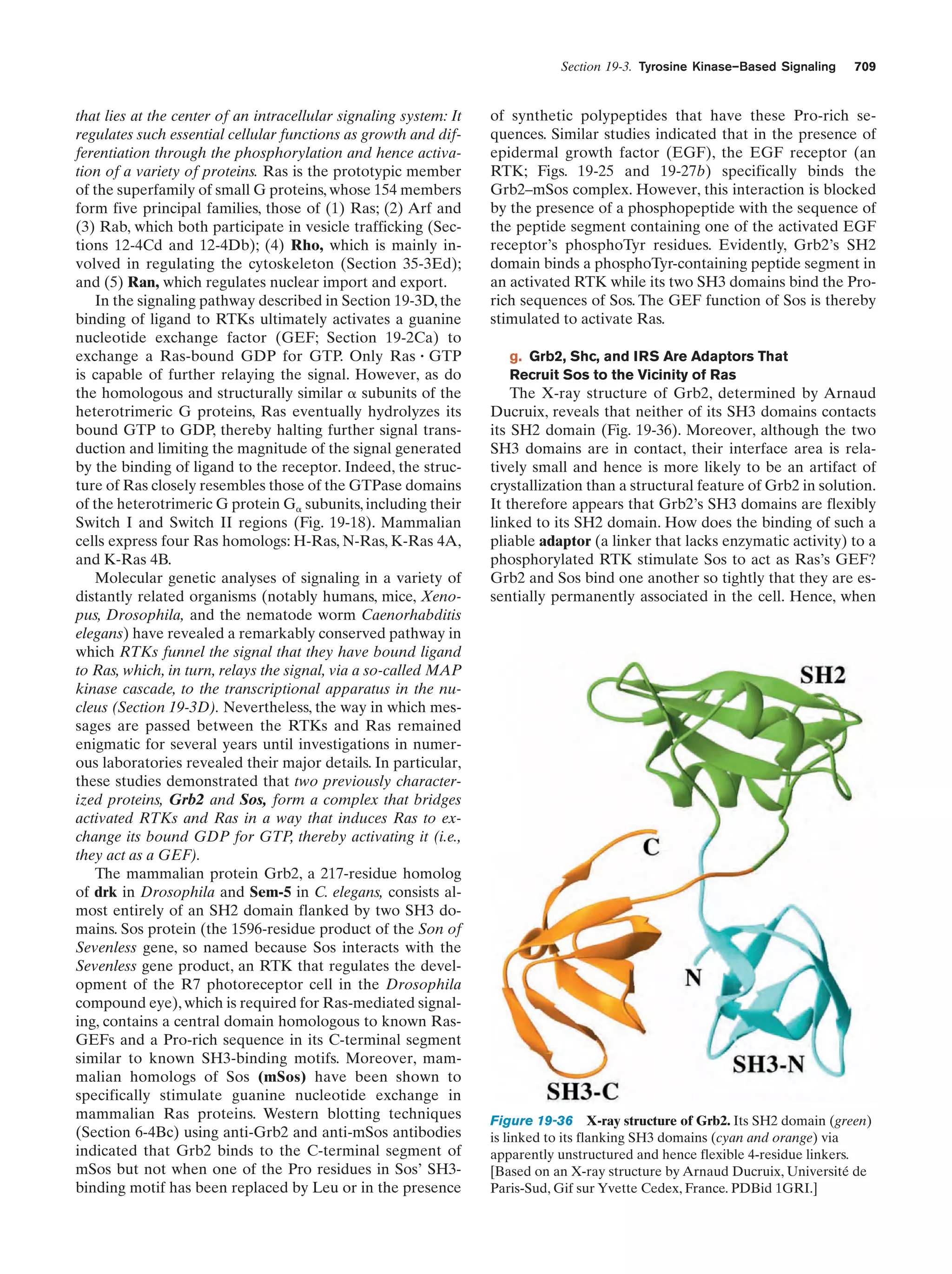 Biochemistry.4th.edition
