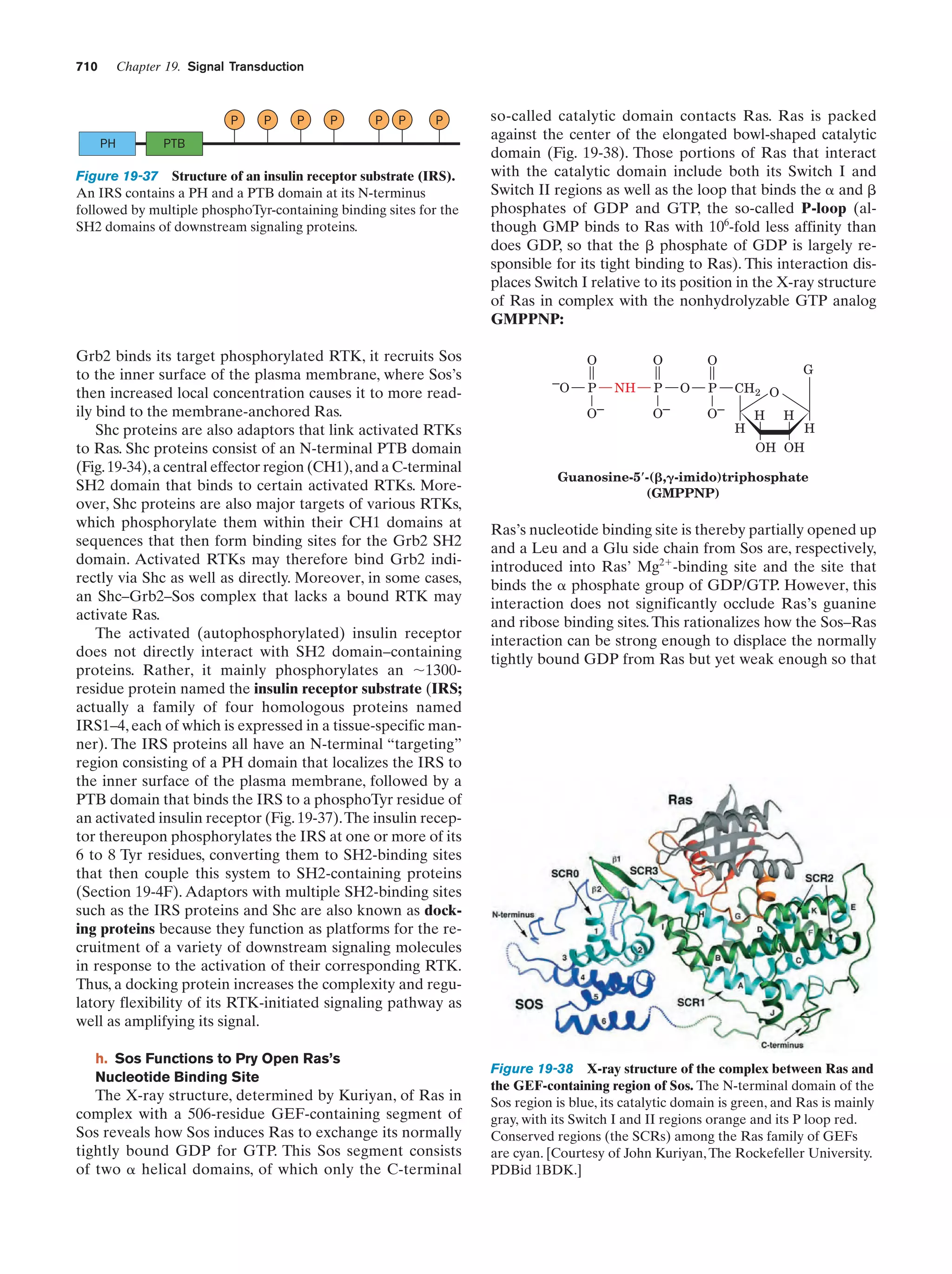 Biochemistry.4th.edition