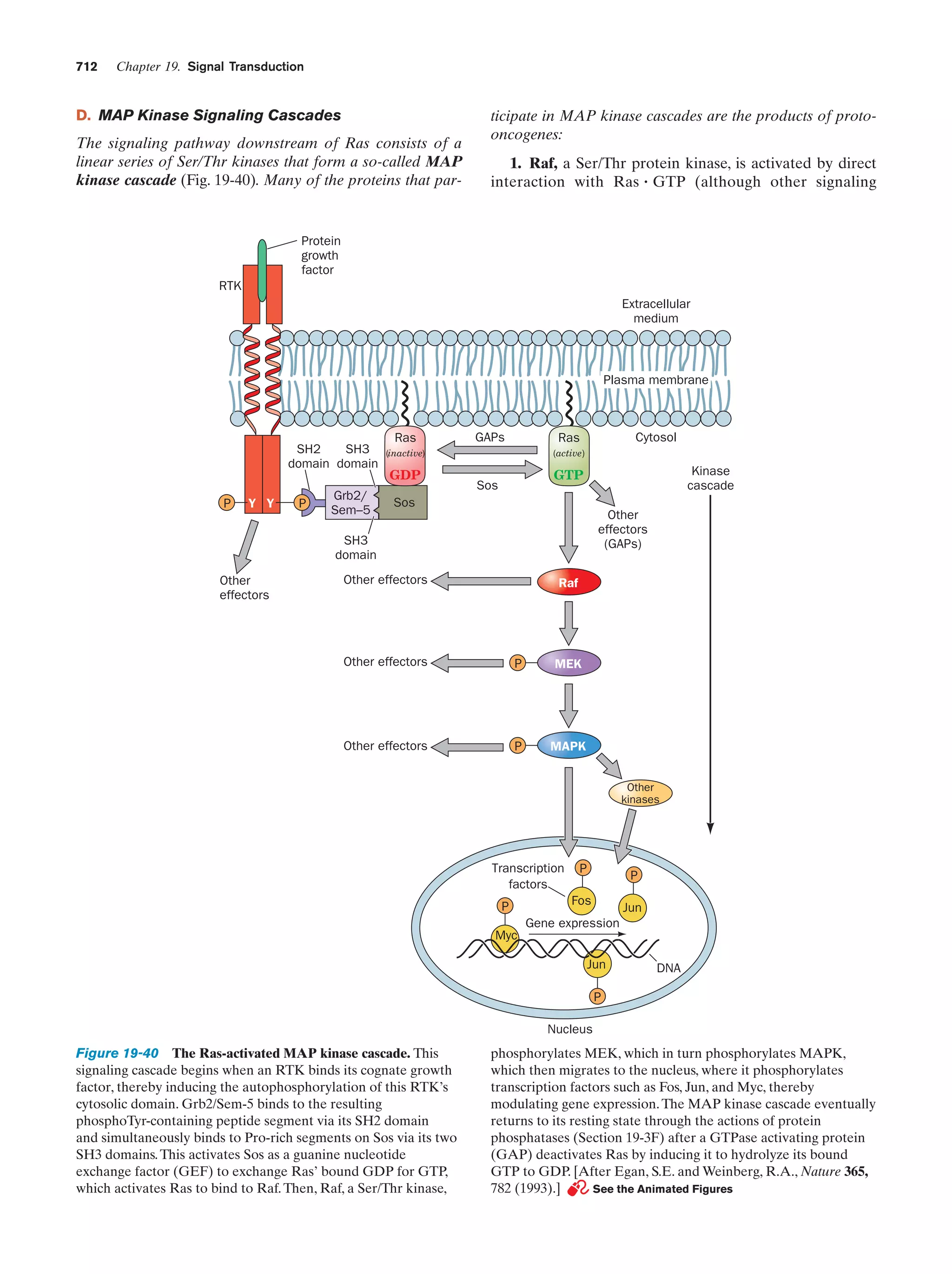 Biochemistry.4th.edition