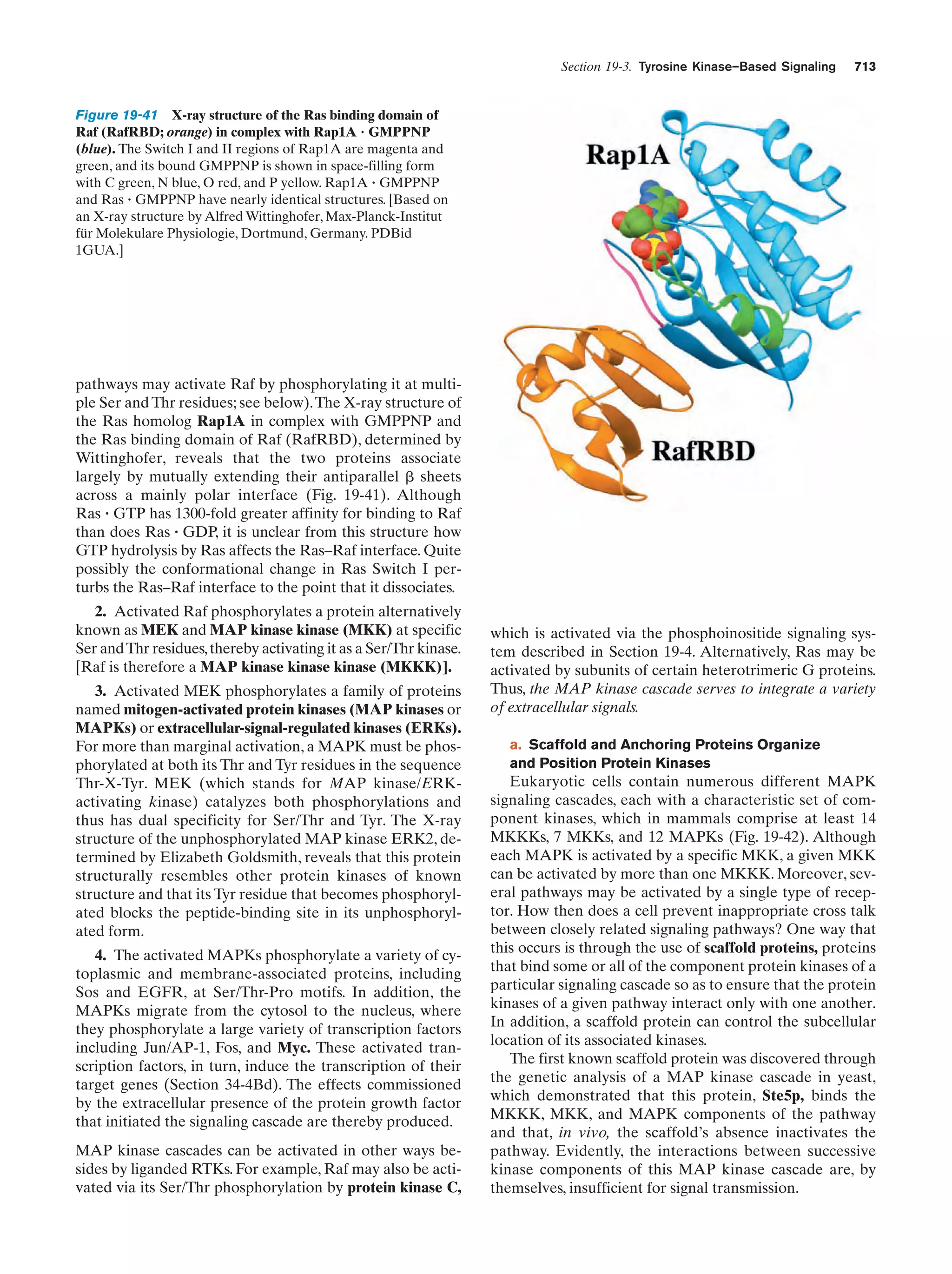 Biochemistry.4th.edition