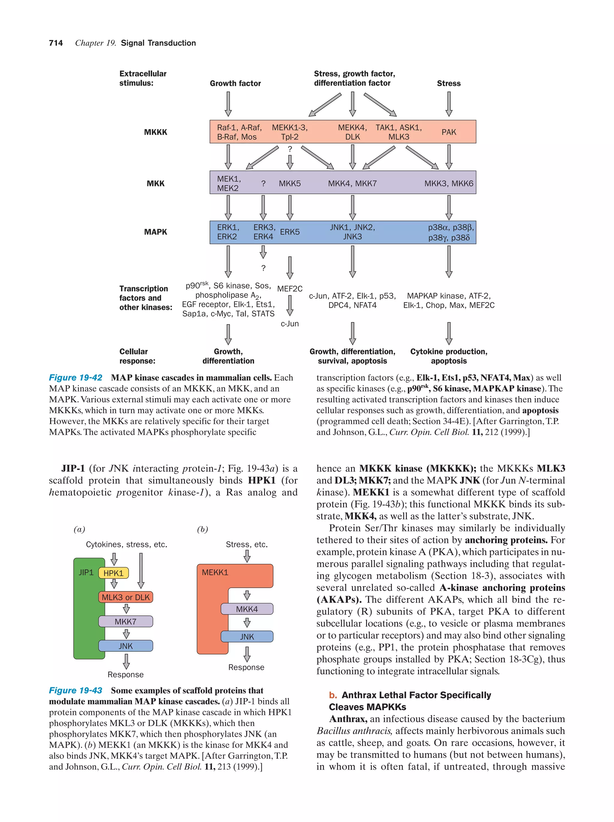 Biochemistry.4th.edition