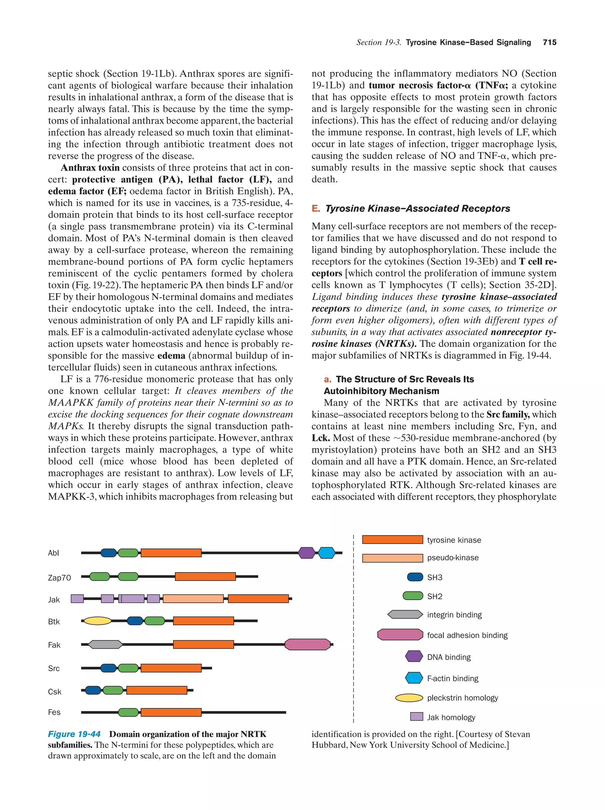 Biochemistry.4th.edition