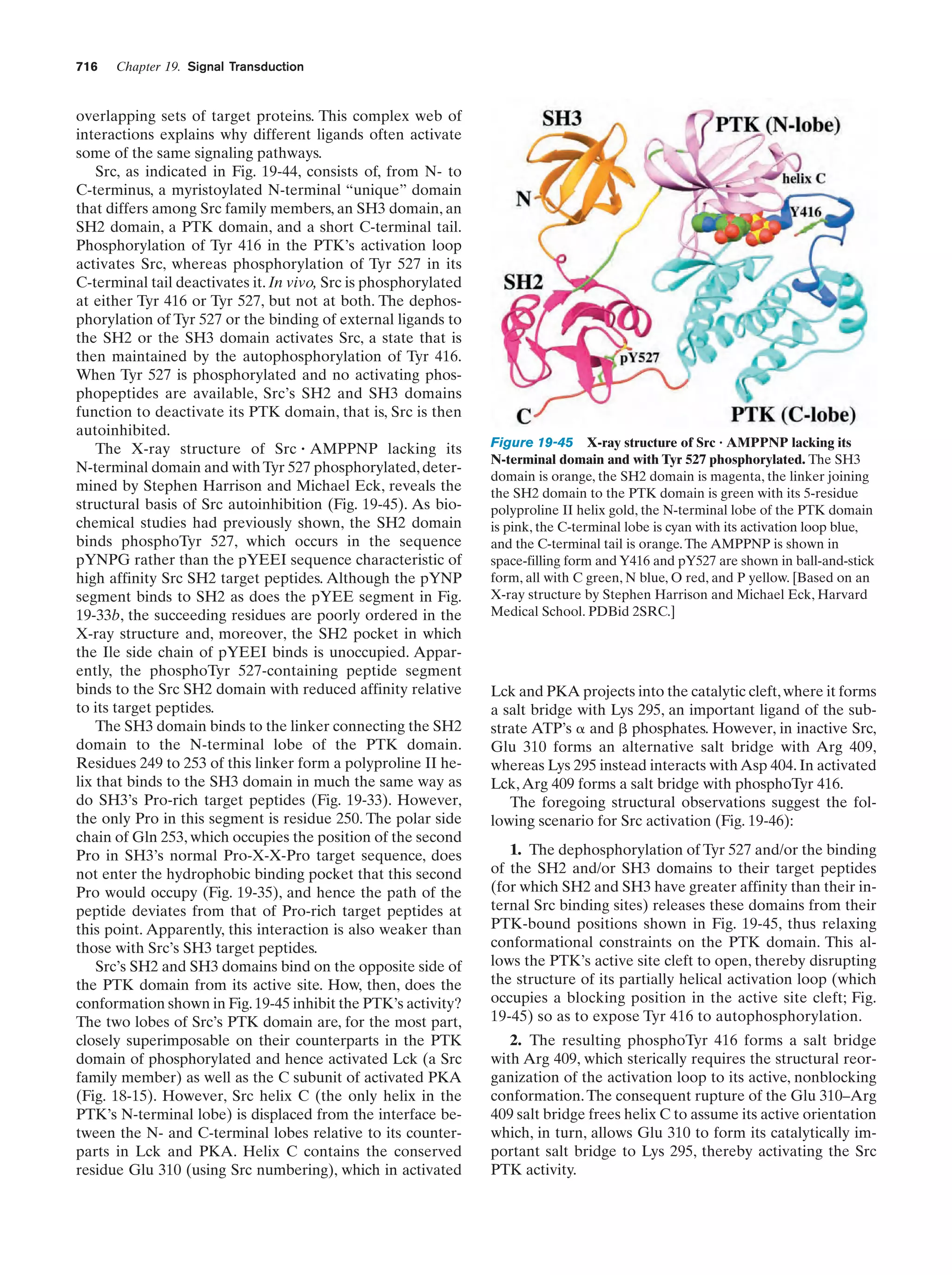 Biochemistry.4th.edition