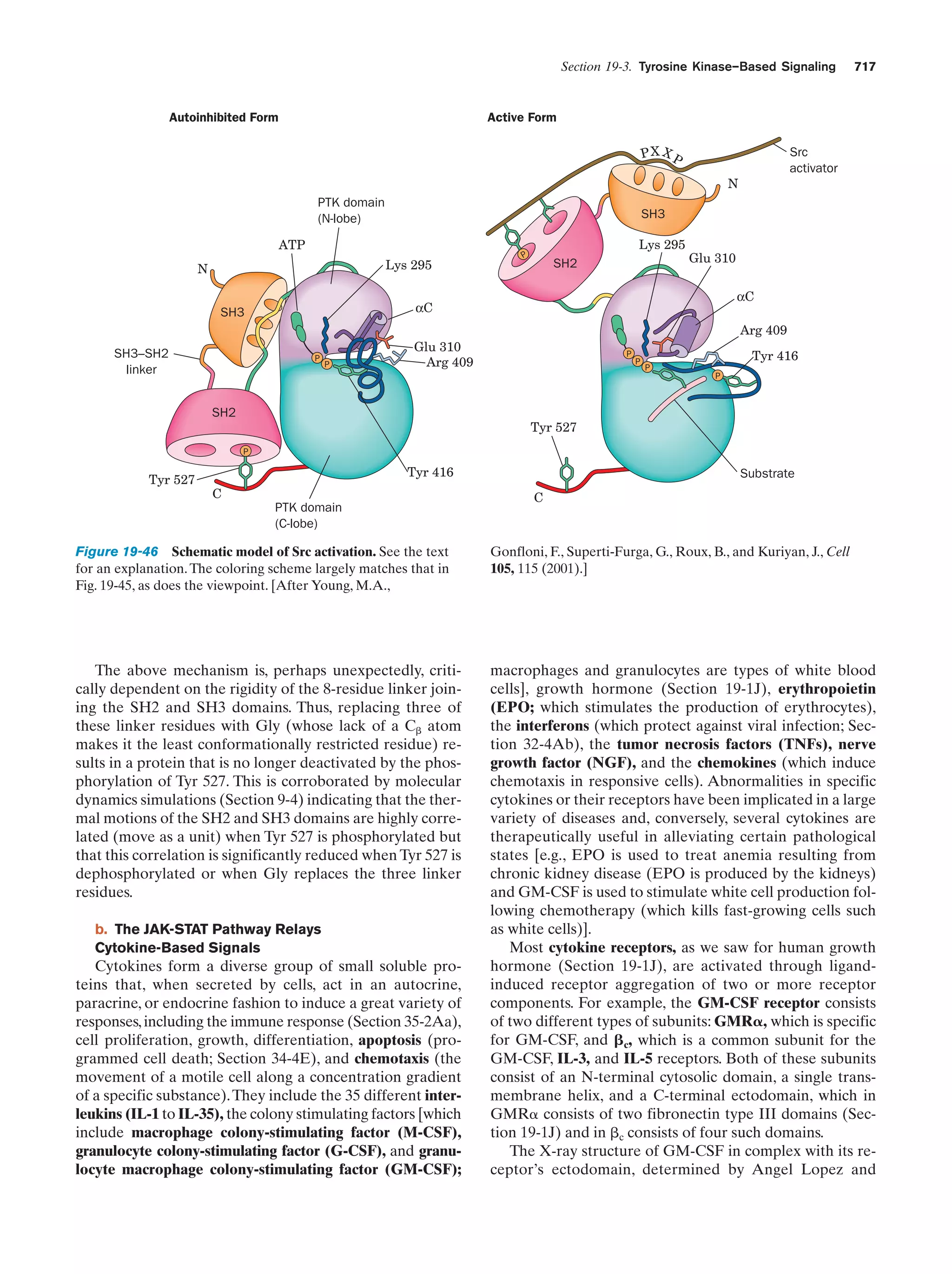 Biochemistry.4th.edition