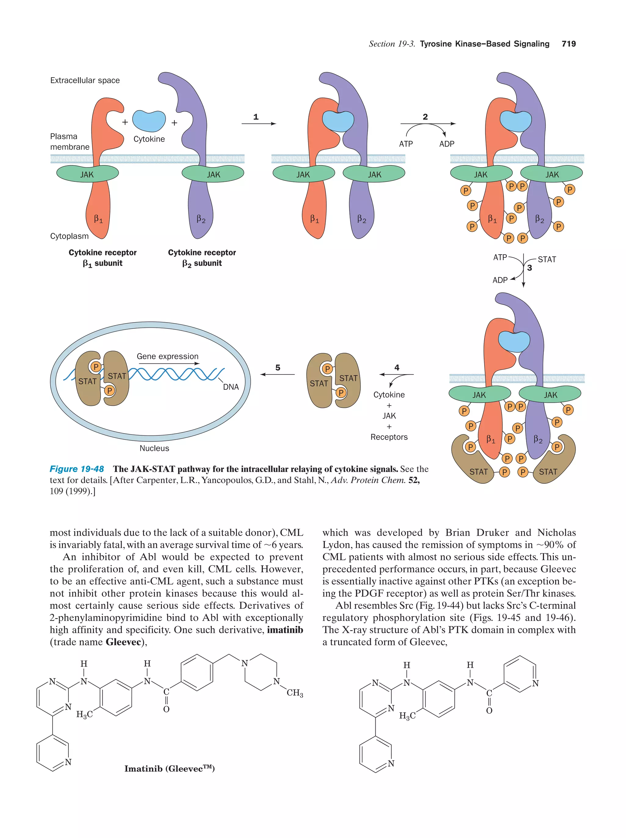 Biochemistry.4th.edition