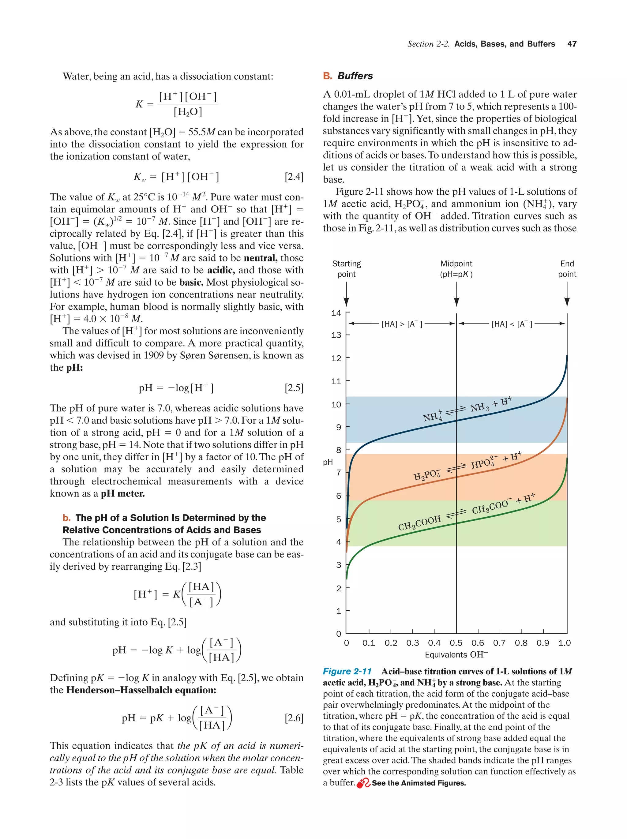 Section 2-2. Acids, Bases, and Buffers

B. Buffers

Water, being an acid, has a dissociation constant:
Kϭ

[H ϩ ] [OH Ϫ ]
[H2O]

As above, the constant [H2O] ϭ 55.5M can be incorporated
into the dissociation constant to yield the expression for
the ionization constant of water,
Kw ϭ [H ϩ ] [OH Ϫ ]

[2.4]

The value of Kw at 25°C is 10Ϫ14 M 2. Pure water must contain equimolar amounts of Hϩ and OHϪ so that [Hϩ] ϭ
[OHϪ] ϭ (Kw)1/2 ϭ 10Ϫ7 M. Since [Hϩ] and [OHϪ] are reciprocally related by Eq. [2.4], if [Hϩ] is greater than this
value, [OHϪ] must be correspondingly less and vice versa.
Solutions with [Hϩ] ϭ 10Ϫ7 M are said to be neutral, those
with [Hϩ] Ͼ 10Ϫ7 M are said to be acidic, and those with
[Hϩ] Ͻ 10Ϫ7 M are said to be basic. Most physiological solutions have hydrogen ion concentrations near neutrality.
For example, human blood is normally slightly basic, with
[Hϩ] ϭ 4.0 ϫ 10Ϫ8 M.
The values of [Hϩ] for most solutions are inconveniently
small and difficult to compare. A more practical quantity,
which was devised in 1909 by Søren Sørensen, is known as
the pH:
pH ϭ Ϫlog[H ϩ ]

[2.5]

The pH of pure water is 7.0, whereas acidic solutions have
pH Ͻ 7.0 and basic solutions have pH Ͼ 7.0. For a 1M solution of a strong acid, pH ϭ 0 and for a 1M solution of a
strong base, pH ϭ 14. Note that if two solutions differ in pH
by one unit, they differ in [Hϩ] by a factor of 10. The pH of
a solution may be accurately and easily determined
through electrochemical measurements with a device
known as a pH meter.
b. The pH of a Solution Is Determined by the
Relative Concentrations of Acids and Bases

[HA]
[A Ϫ ]

A 0.01-mL droplet of 1M HCl added to 1 L of pure water
changes the water’s pH from 7 to 5, which represents a 100fold increase in [Hϩ]. Yet, since the properties of biological
substances vary significantly with small changes in pH, they
require environments in which the pH is insensitive to additions of acids or bases. To understand how this is possible,
let us consider the titration of a weak acid with a strong
base.
Figure 2-11 shows how the pH values of 1-L solutions of
1M acetic acid, H2POϪ, and ammonium ion (NHϩ), vary
4
4
with the quantity of OHϪ added. Titration curves such as
those in Fig. 2-11, as well as distribution curves such as those

Starting
point

Midpoint
(pH=pK )

b

End
point

14
[HA] > [A– ]

[HA] < [A– ]

13
12
11
+

10

+

NH 3

+H

NH 4

9
8
pH

–
H 2PO 4

7
6

2–
HPO 4

+

+H

–
OO
CH 3C

5

The relationship between the pH of a solution and the
concentrations of an acid and its conjugate base can be easily derived by rearranging Eq. [2.3]
[H ϩ ] ϭ K a

47

+

+H

H

OO
CH 3C

4
3
2
1

and substituting it into Eq. [2.5]
pH ϭ Ϫlog K ϩ log a

[A Ϫ ]
[HA]

0

b

0

Defining pK ϭ Ϫlog K in analogy with Eq. [2.5], we obtain
the Henderson–Hasselbalch equation:
pH ϭ pK ϩ log a

[A Ϫ ]
[HA]

b

[2.6]

This equation indicates that the pK of an acid is numerically equal to the pH of the solution when the molar concentrations of the acid and its conjugate base are equal. Table
2-3 lists the pK values of several acids.

0.1

0.2

0.3

0.4 0.5 0.6 0.7
Equivalents OH–

0.8

0.9

1.0

Figure 2-11 Acid–base titration curves of 1-L solutions of 1M
acetic acid, H2PO؊, and NH؉ by a strong base. At the starting
4
4
point of each titration, the acid form of the conjugate acid–base
pair overwhelmingly predominates. At the midpoint of the
titration, where pH ϭ pK, the concentration of the acid is equal
to that of its conjugate base. Finally, at the end point of the
titration, where the equivalents of strong base added equal the
equivalents of acid at the starting point, the conjugate base is in
great excess over acid. The shaded bands indicate the pH ranges
over which the corresponding solution can function effectively as
a buffer.
See the Animated Figures.

 