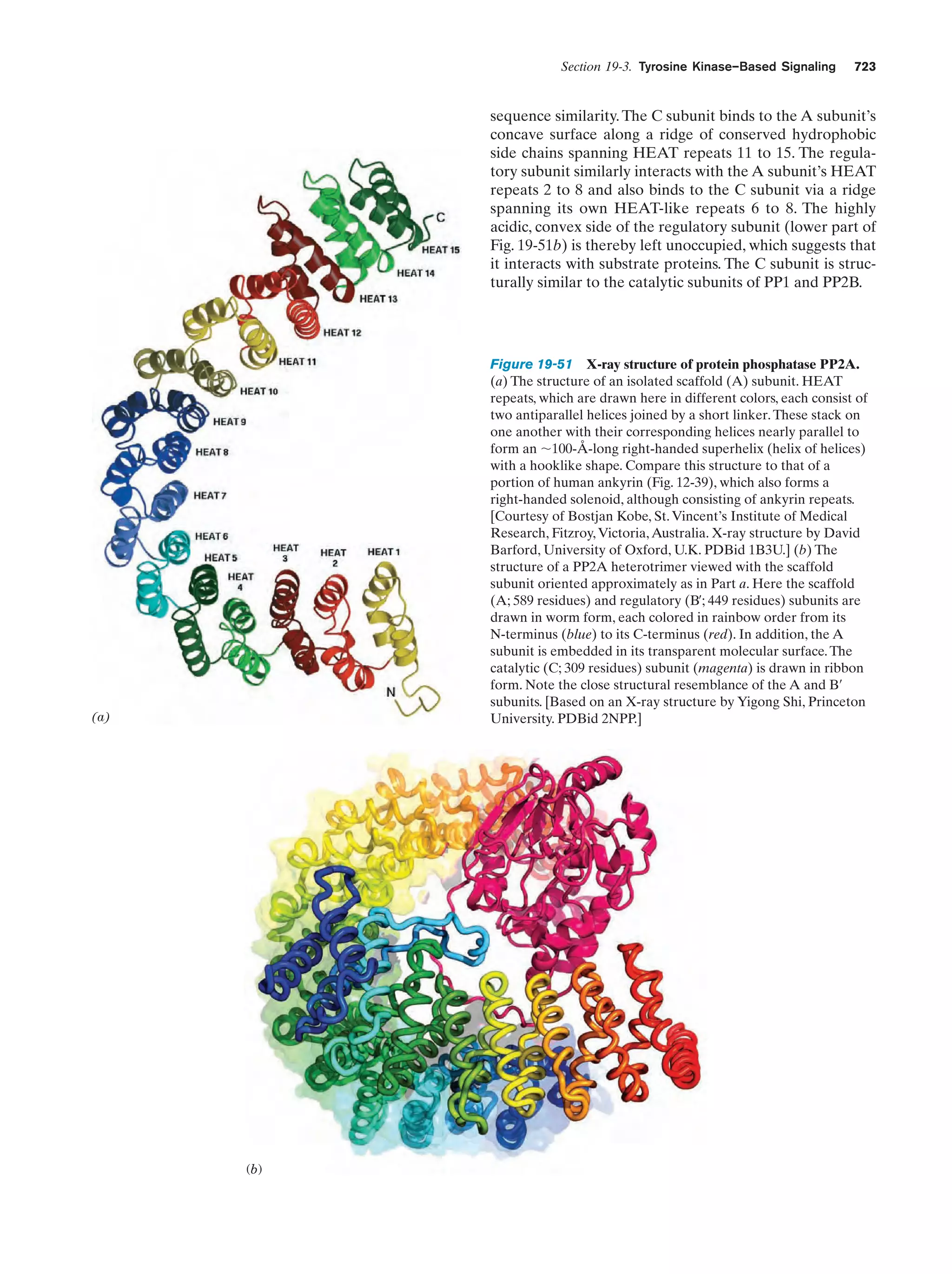 Biochemistry.4th.edition