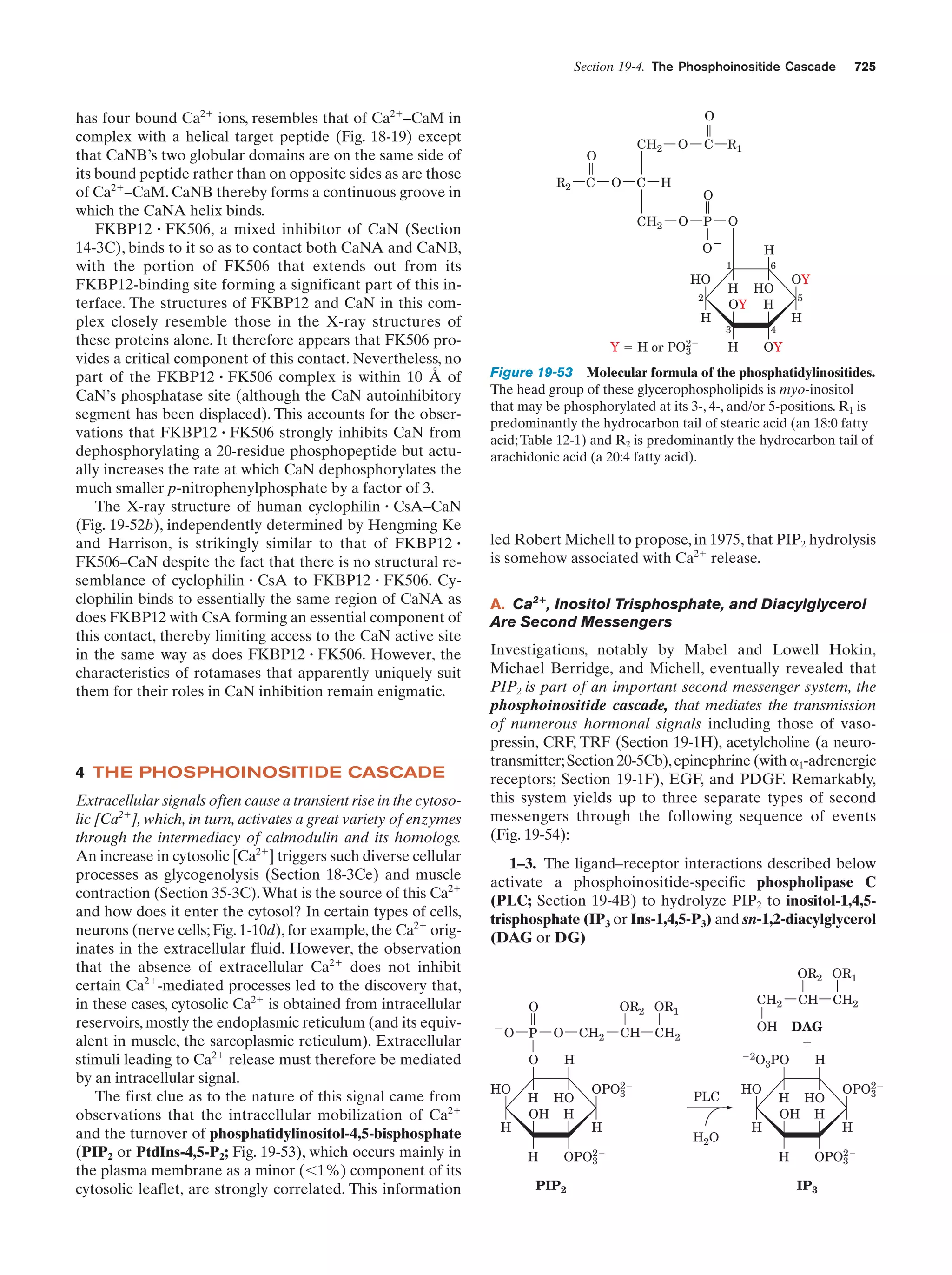 Biochemistry.4th.edition