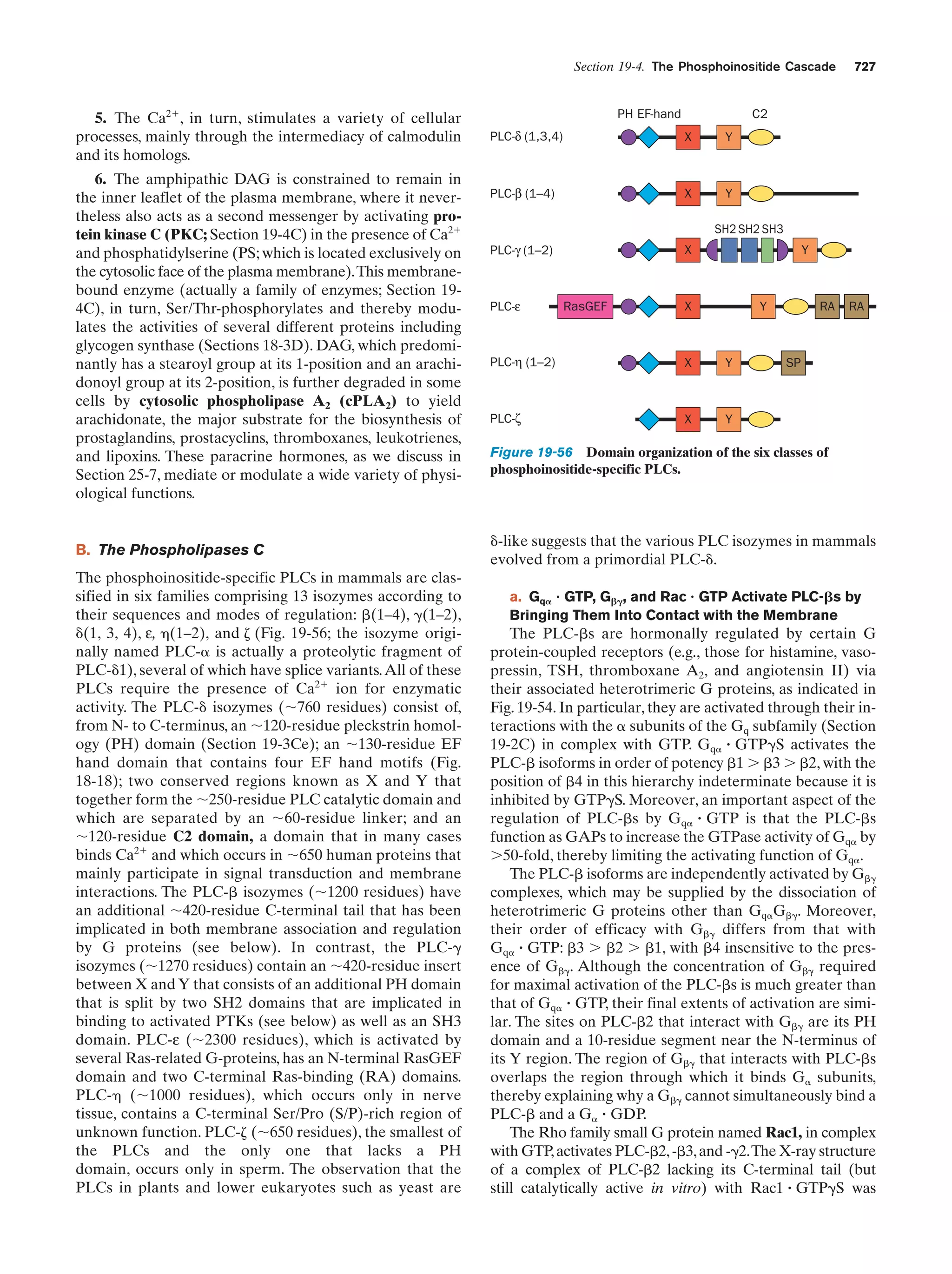 Biochemistry.4th.edition