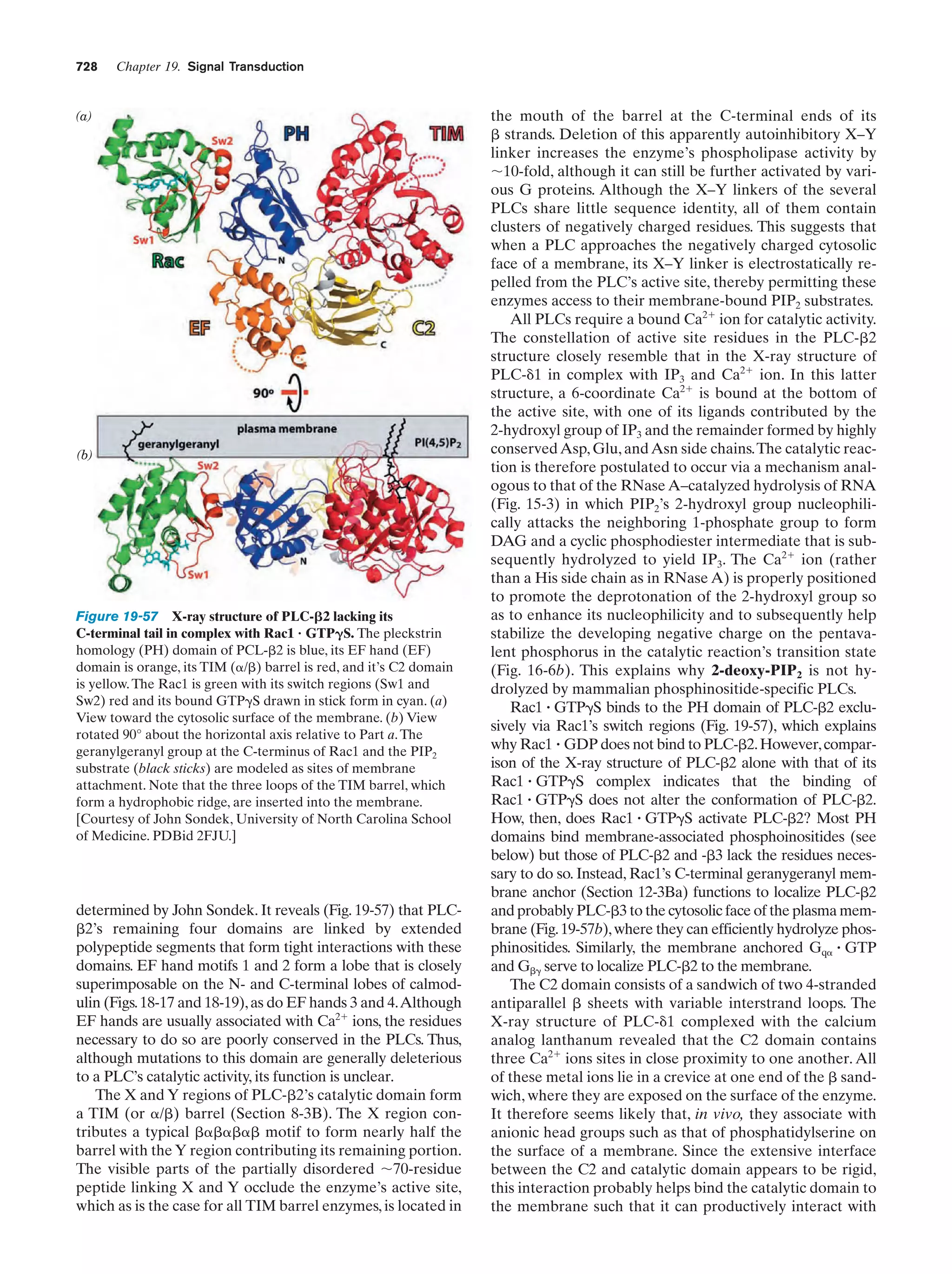 Biochemistry.4th.edition