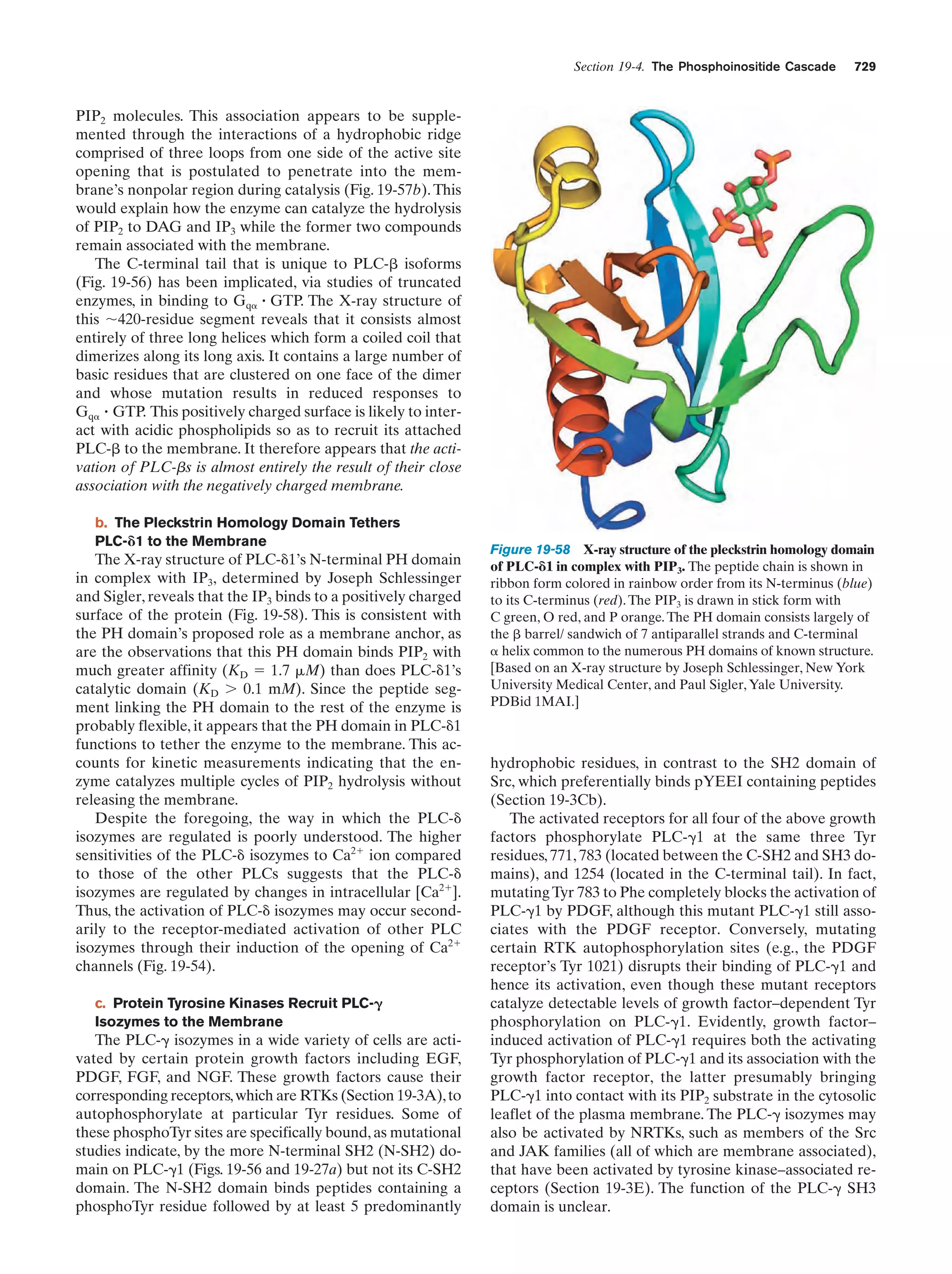 Biochemistry.4th.edition