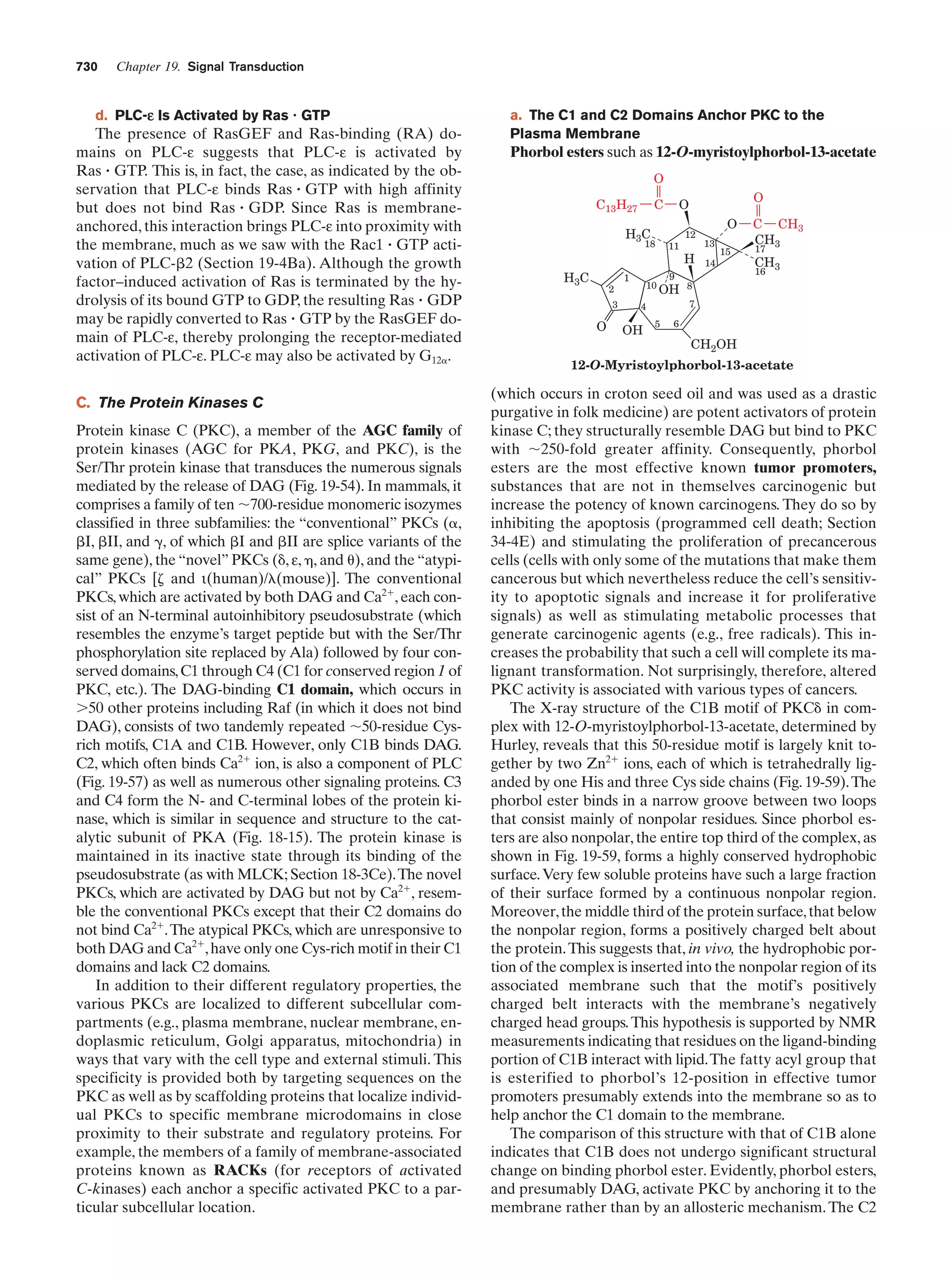 Biochemistry.4th.edition