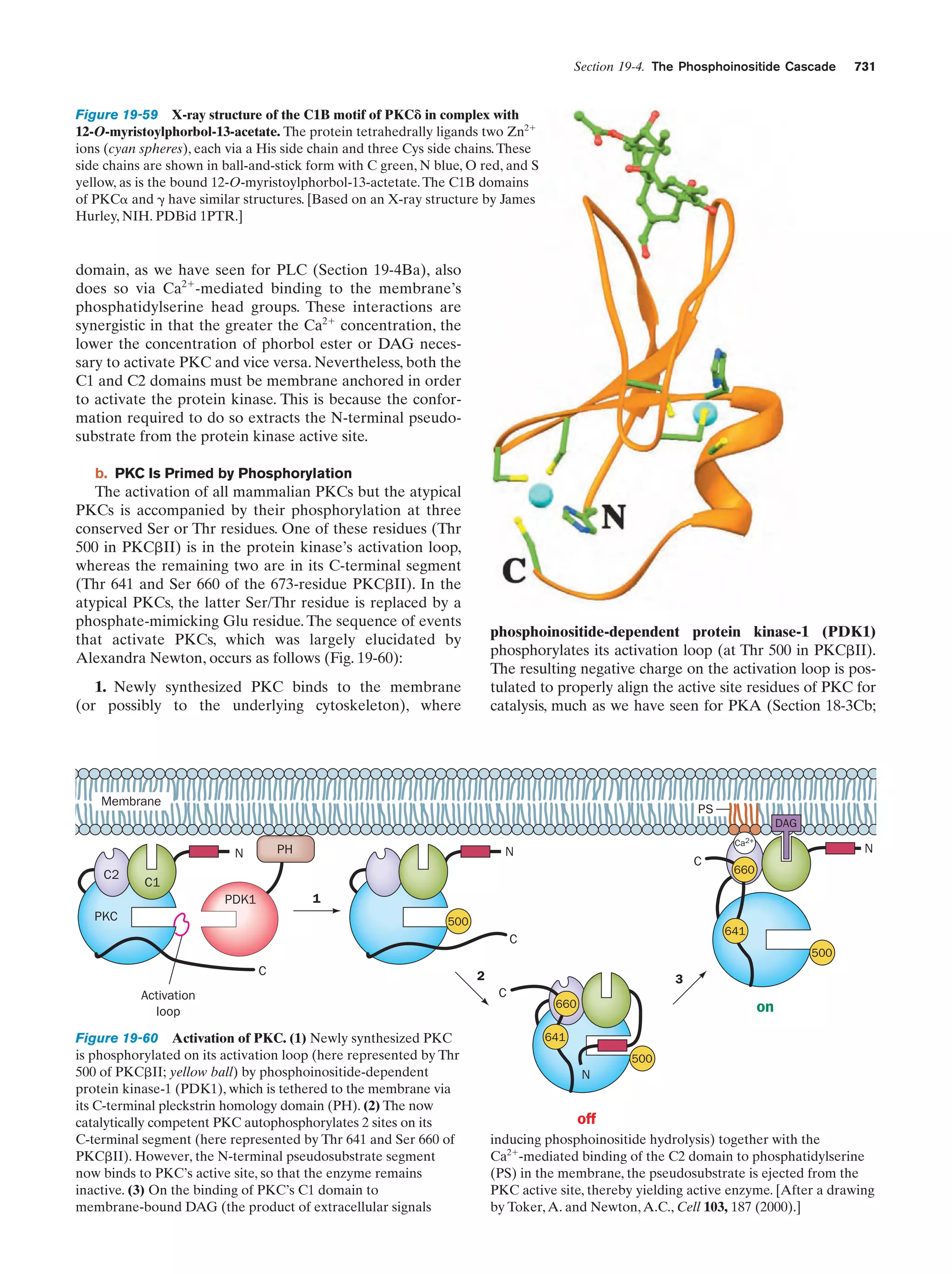 Biochemistry.4th.edition