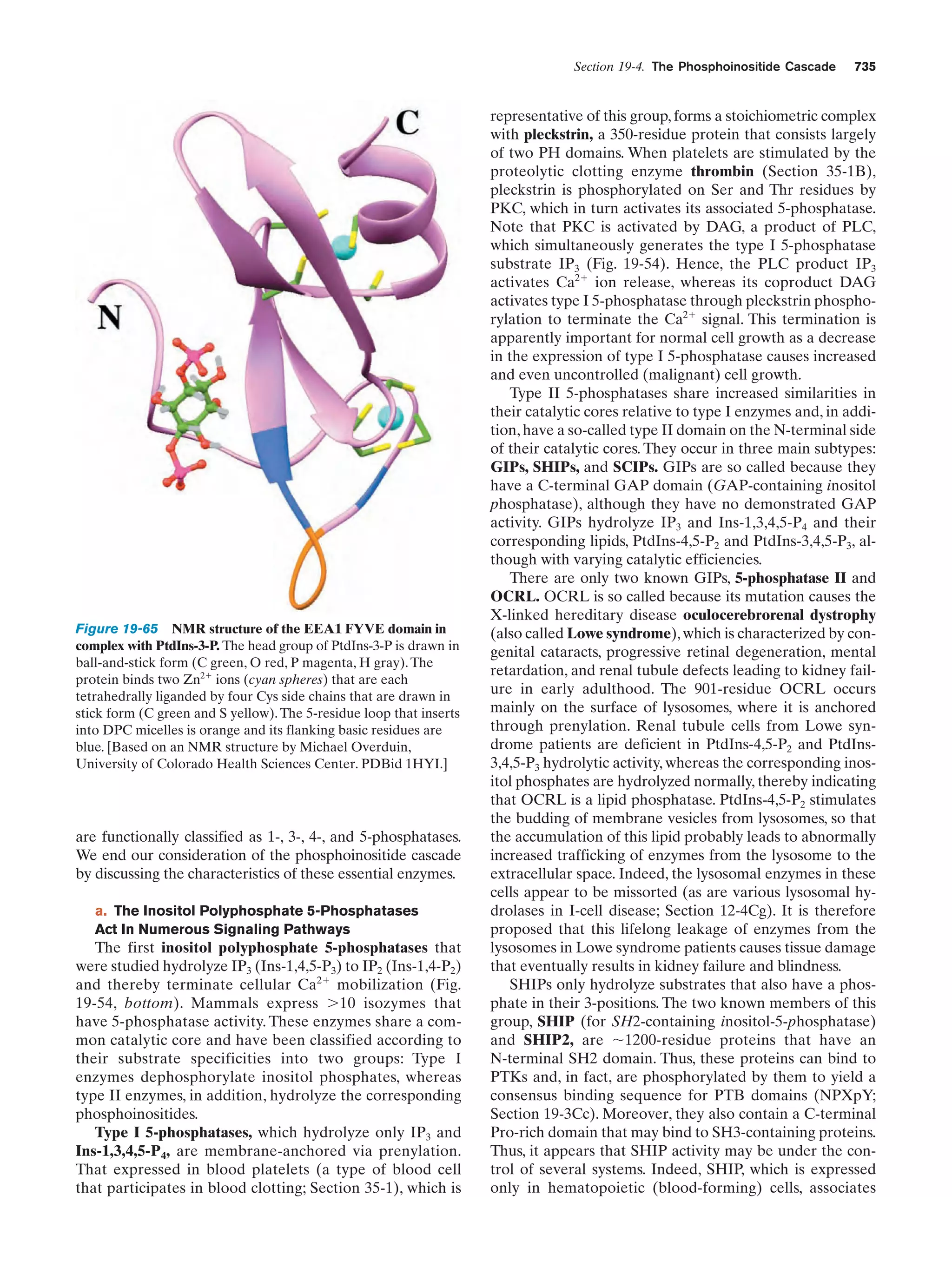 Biochemistry.4th.edition