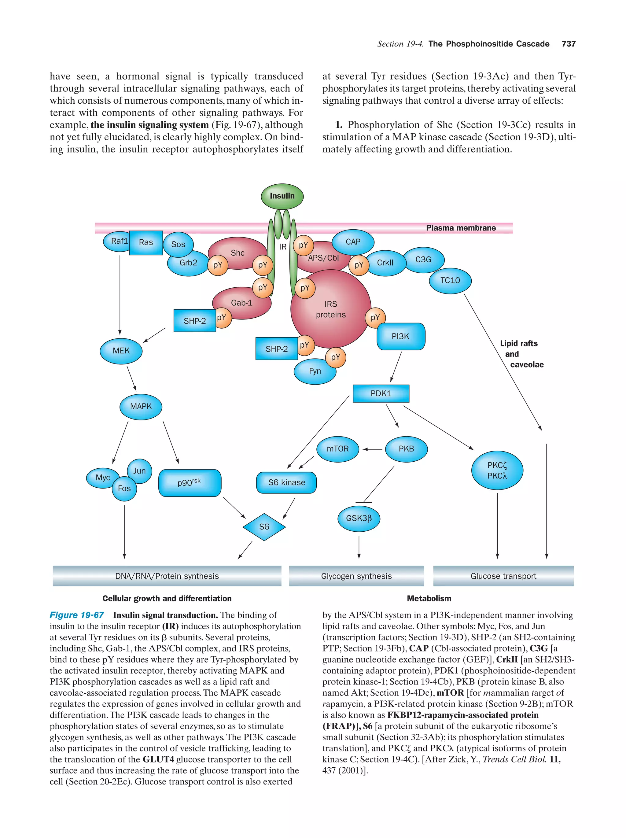 Biochemistry.4th.edition