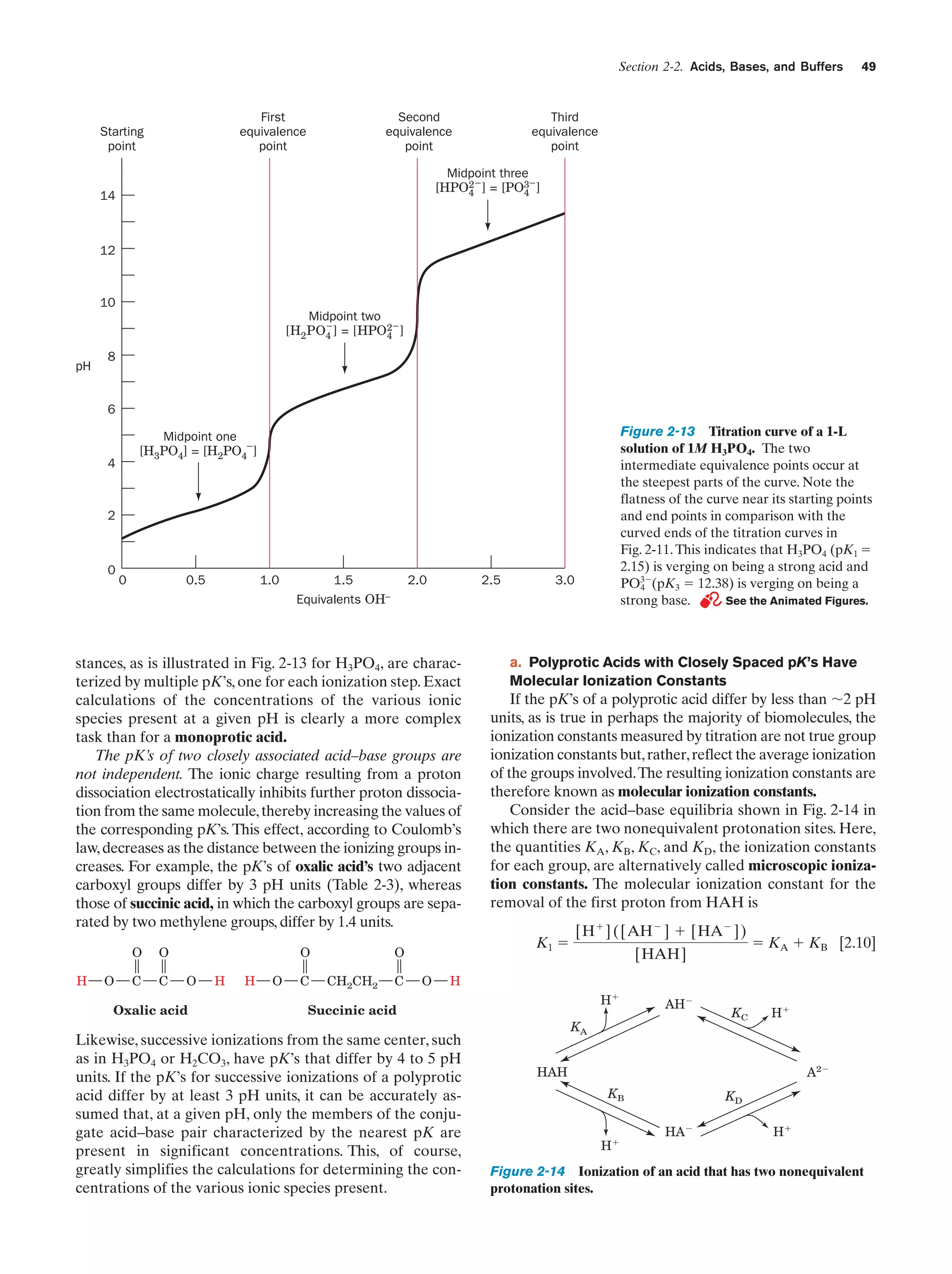 Section 2-2. Acids, Bases, and Buffers

First
equivalence
point

Starting
point

Second
equivalence
point

49

Third
equivalence
point

Midpoint three
2
[HPO4 – ] = [PO3– ]
4

14

12

10
Midpoint two
–
–
[H2 PO4 ] = [HPO2 ]
4
pH

8

6

Figure 2-13 Titration curve of a 1-L
solution of 1M H3PO4. The two
intermediate equivalence points occur at
the steepest parts of the curve. Note the
flatness of the curve near its starting points
and end points in comparison with the
curved ends of the titration curves in
Fig. 2-11. This indicates that H3PO4 (pK1 ϭ
2.15) is verging on being a strong acid and
PO3Ϫ(pK3 ϭ 12.38) is verging on being a
4
strong base.
See the Animated Figures.

Midpoint one
[H3PO4] = [H2PO4– ]

4

2

0

0

0.5

1.0

1.5
Equivalents OH–

2.0

2.5

stances, as is illustrated in Fig. 2-13 for H3PO4, are characterized by multiple pK’s, one for each ionization step. Exact
calculations of the concentrations of the various ionic
species present at a given pH is clearly a more complex
task than for a monoprotic acid.
The pK’s of two closely associated acid–base groups are
not independent. The ionic charge resulting from a proton
dissociation electrostatically inhibits further proton dissociation from the same molecule, thereby increasing the values of
the corresponding pK’s. This effect, according to Coulomb’s
law, decreases as the distance between the ionizing groups increases. For example, the pK’s of oxalic acid’s two adjacent
carboxyl groups differ by 3 pH units (Table 2-3), whereas
those of succinic acid, in which the carboxyl groups are separated by two methylene groups, differ by 1.4 units.
O
H

O

O

C

C

O

Oxalic acid

H

H

O

C

CH2CH2

C

a. Polyprotic Acids with Closely Spaced pK’s Have
Molecular Ionization Constants

If the pK’s of a polyprotic acid differ by less than ϳ2 pH
units, as is true in perhaps the majority of biomolecules, the
ionization constants measured by titration are not true group
ionization constants but, rather, reflect the average ionization
of the groups involved.The resulting ionization constants are
therefore known as molecular ionization constants.
Consider the acid–base equilibria shown in Fig. 2-14 in
which there are two nonequivalent protonation sites. Here,
the quantities KA, KB, KC, and KD, the ionization constants
for each group, are alternatively called microscopic ionization constants. The molecular ionization constant for the
removal of the first proton from HAH is
K1 ϭ

O

O

3.0

O

[H ϩ ] ([AH Ϫ ] ϩ [HAϪ ])
[HAH]

ϭ KA ϩ KB [2.10]

H
Hϩ

Succinic acid

Likewise, successive ionizations from the same center, such
as in H3PO4 or H2CO3, have pK’s that differ by 4 to 5 pH
units. If the pK’s for successive ionizations of a polyprotic
acid differ by at least 3 pH units, it can be accurately assumed that, at a given pH, only the members of the conjugate acid–base pair characterized by the nearest pK are
present in significant concentrations. This, of course,
greatly simplifies the calculations for determining the concentrations of the various ionic species present.

AHϪ

KC

Hϩ

KA
A2Ϫ

HAH
KB

Hϩ

KD
HAϪ

Hϩ

Figure 2-14 Ionization of an acid that has two nonequivalent
protonation sites.

 