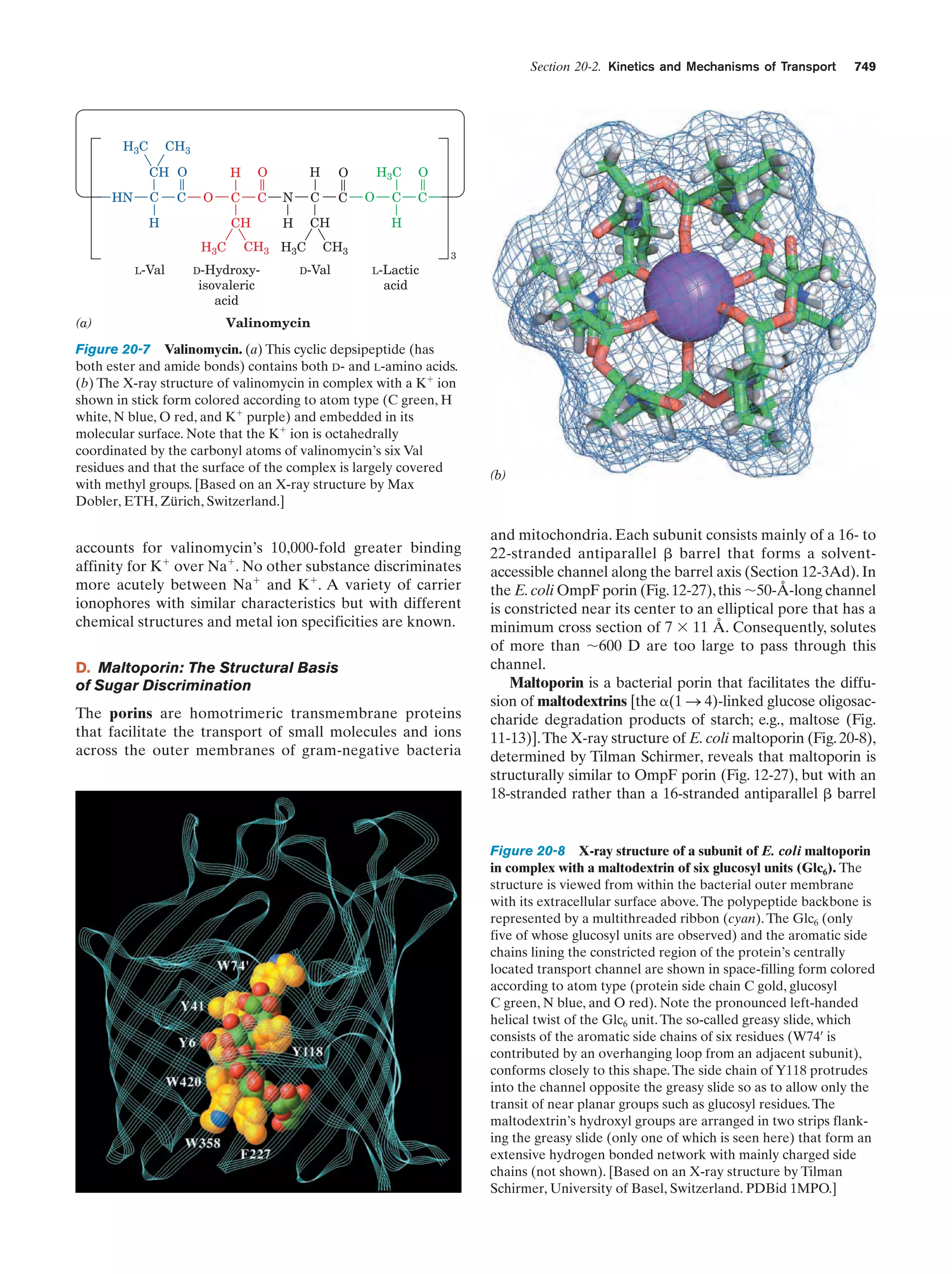Biochemistry.4th.edition