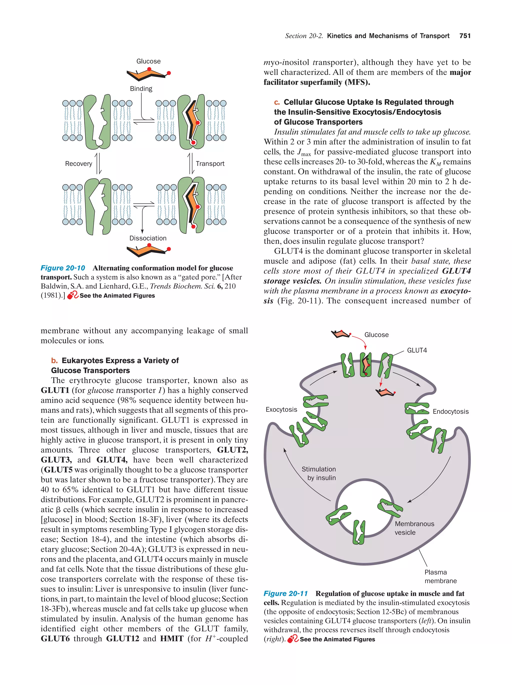 Biochemistry.4th.edition