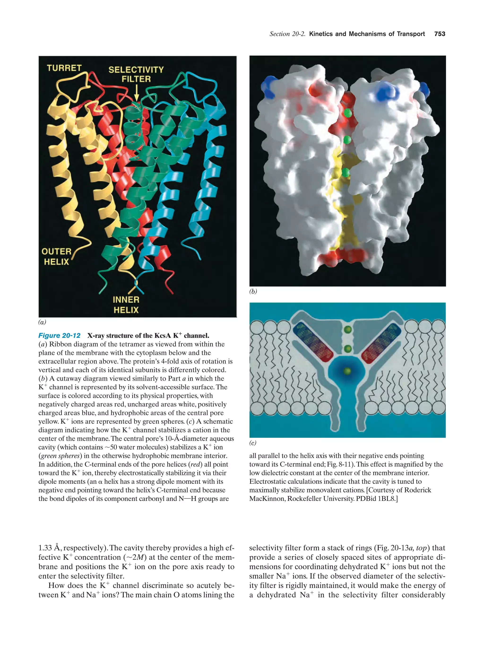 Biochemistry.4th.edition