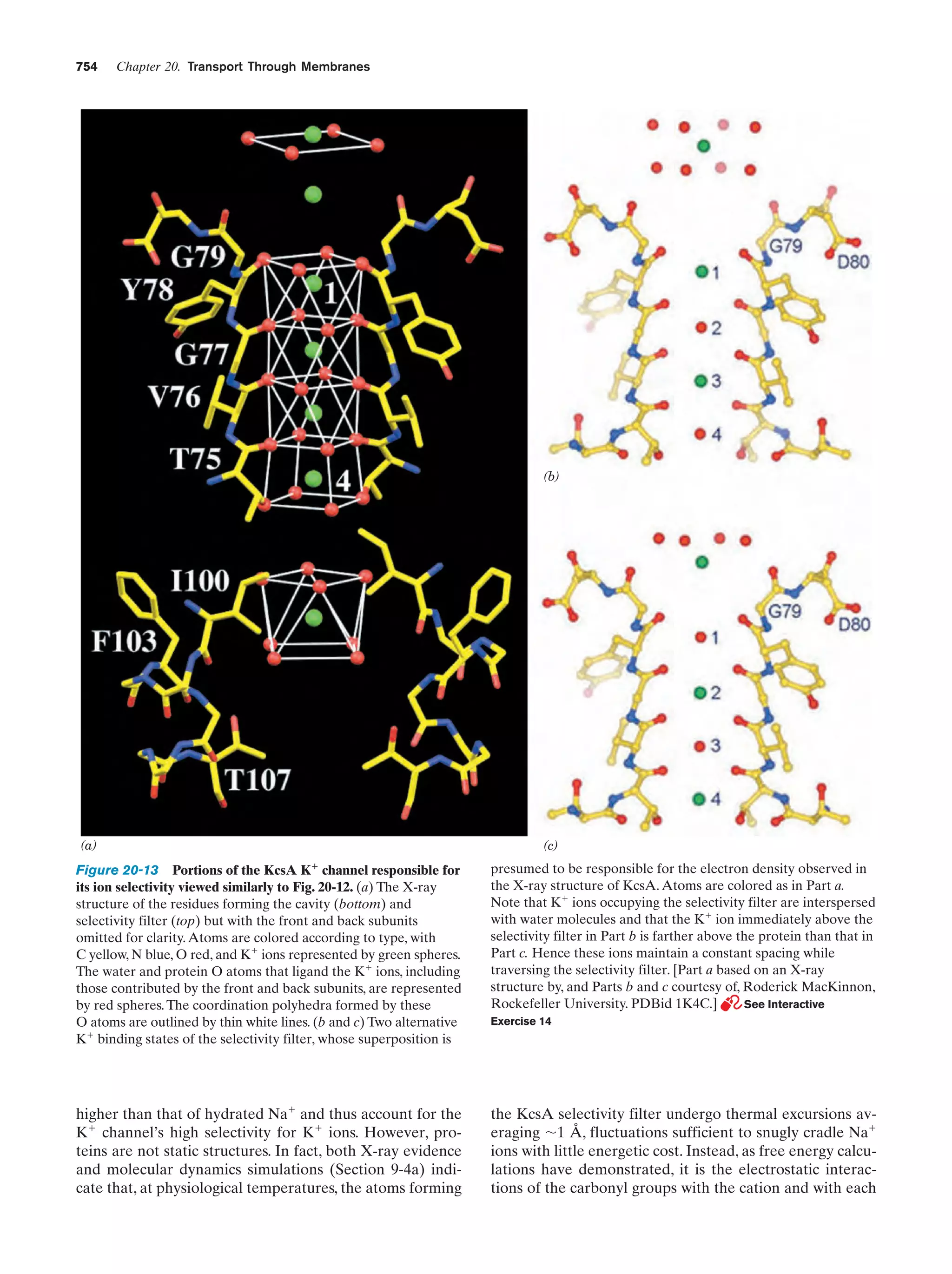 Biochemistry.4th.edition