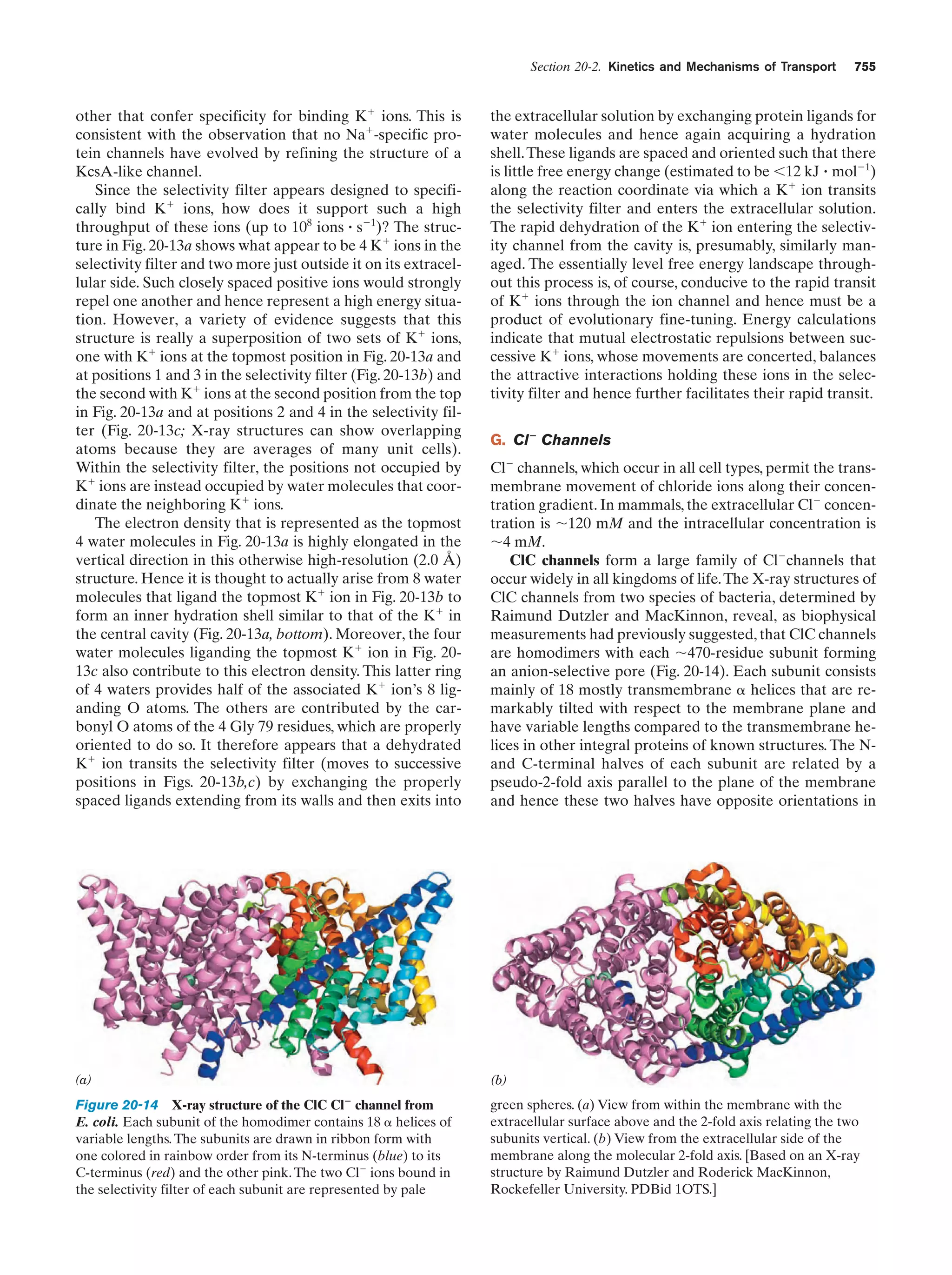 Biochemistry.4th.edition