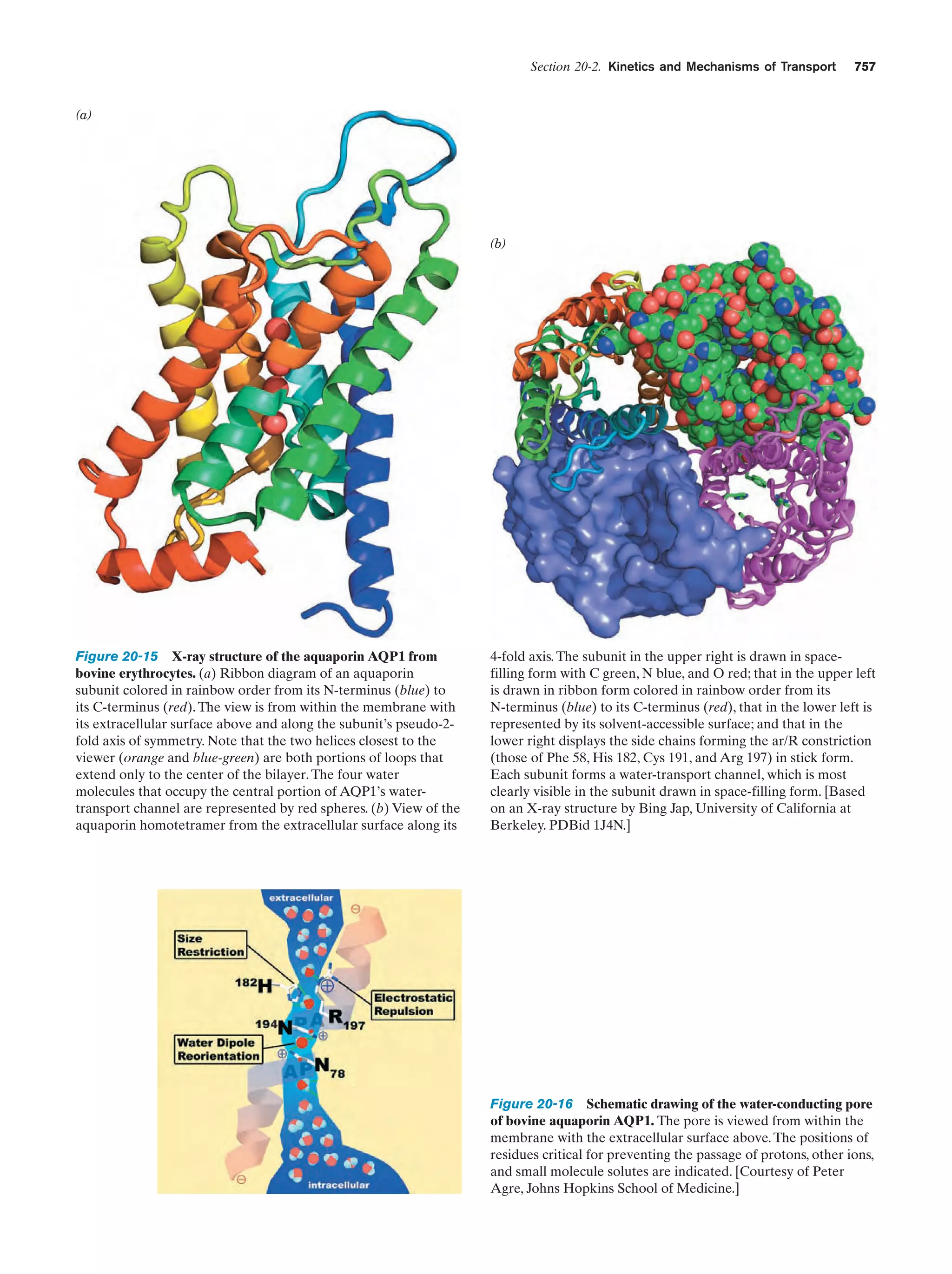 Biochemistry.4th.edition