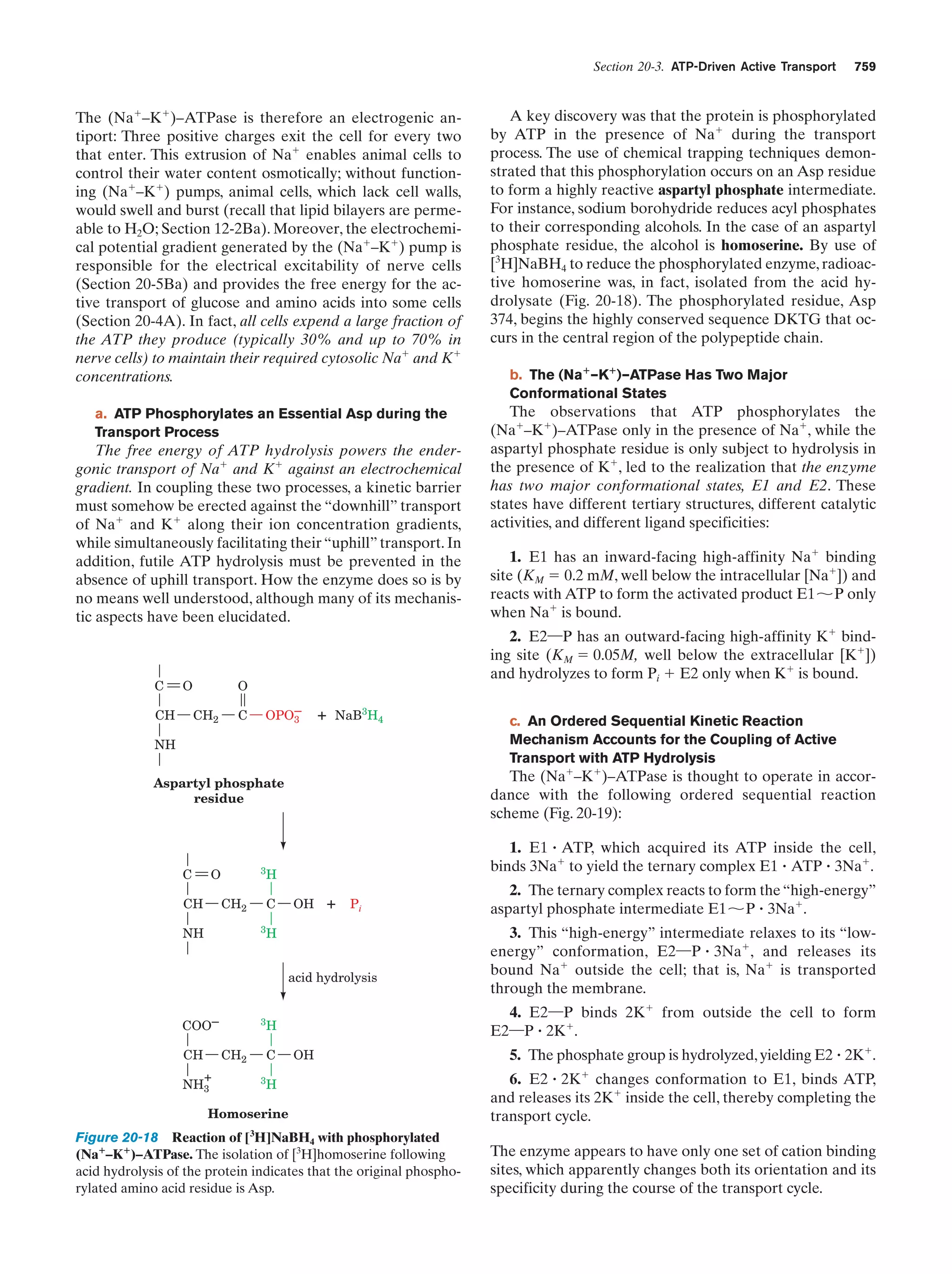 Biochemistry.4th.edition
