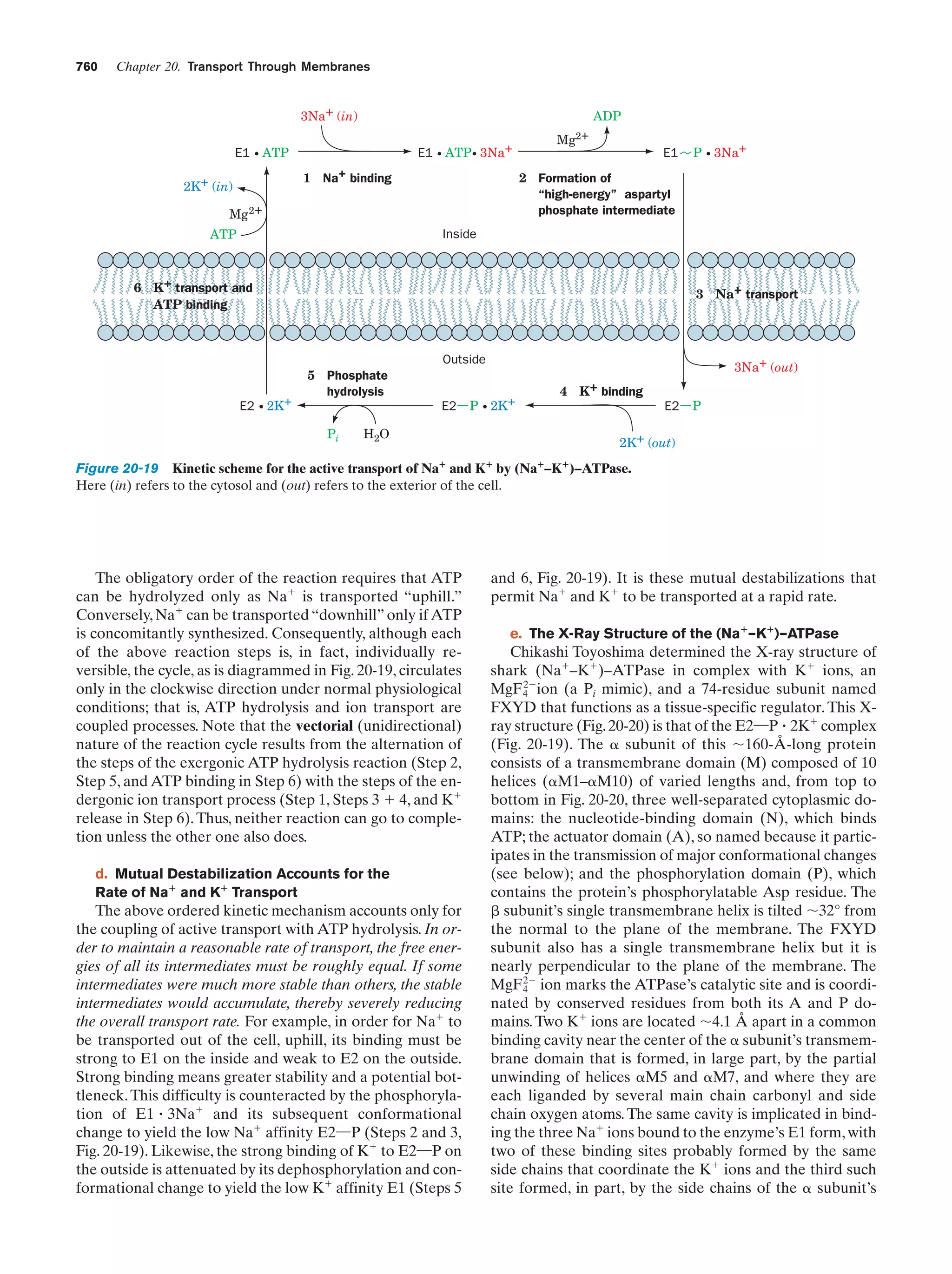 Biochemistry.4th.edition