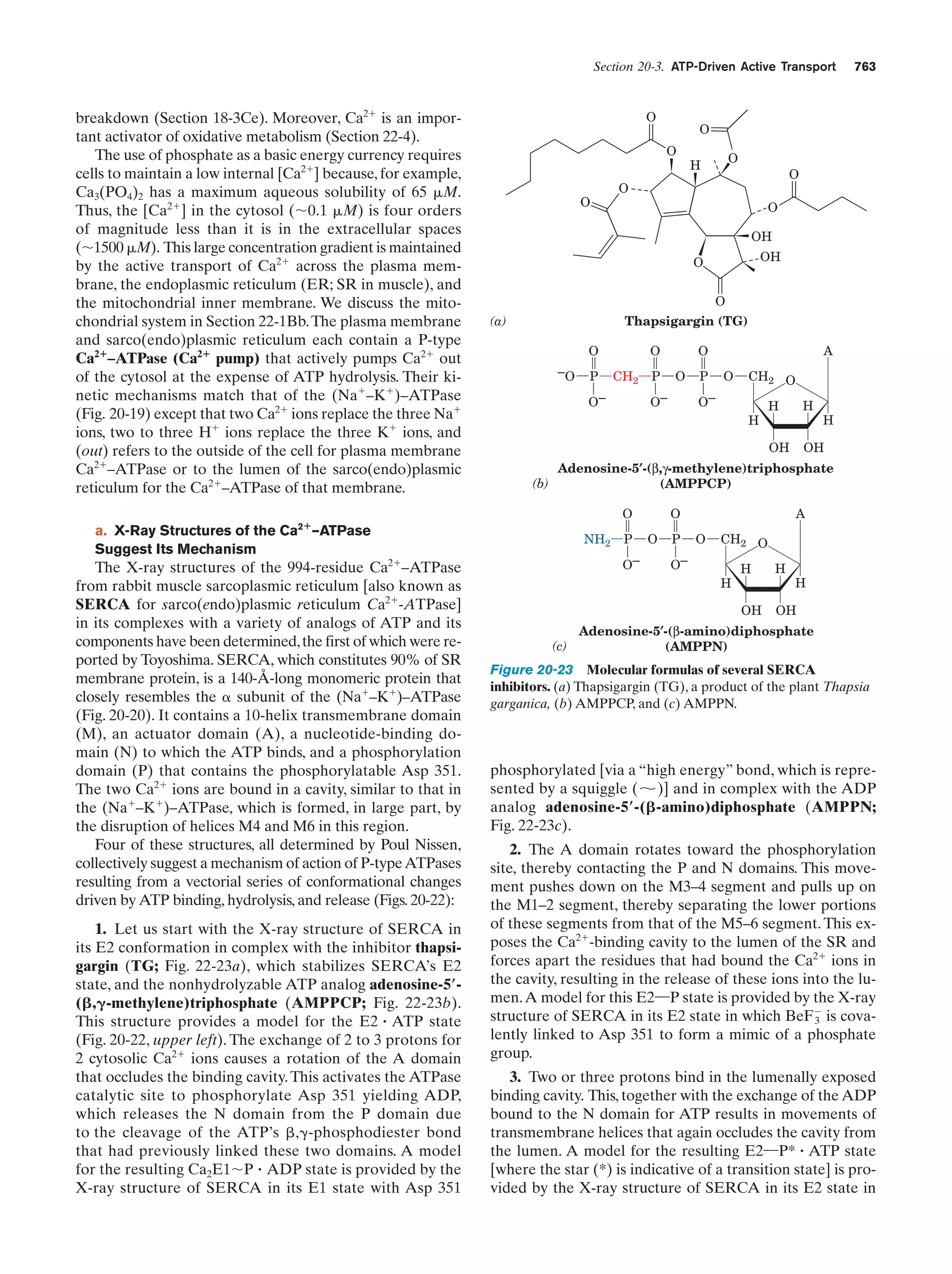 Biochemistry.4th.edition