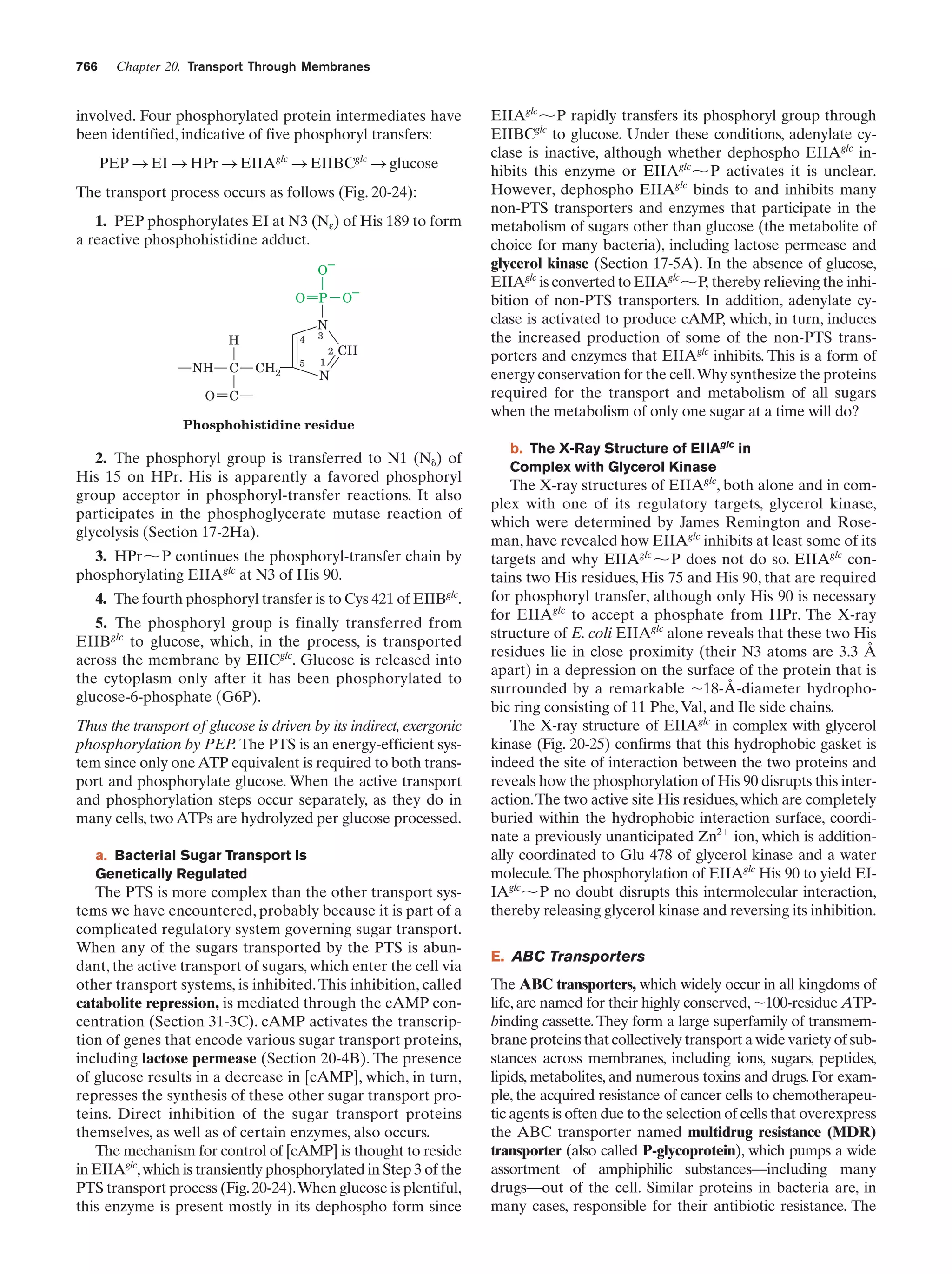 Biochemistry.4th.edition